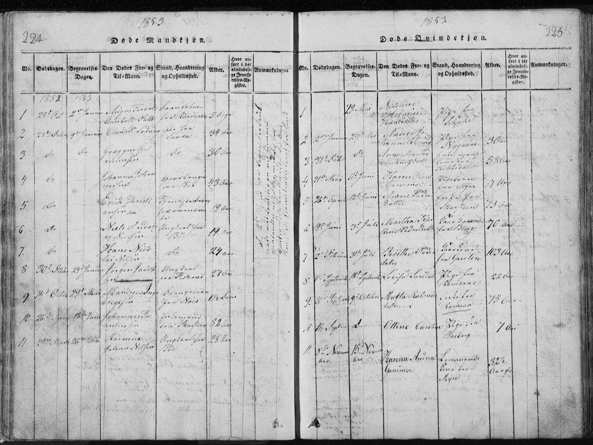 Ministerialprotokoller, klokkerbøker og fødselsregistre - Nordland, AV/SAT-A-1459/897/L1411: Parish register (copy) no. 897C01, 1820-1866, p. 224-225