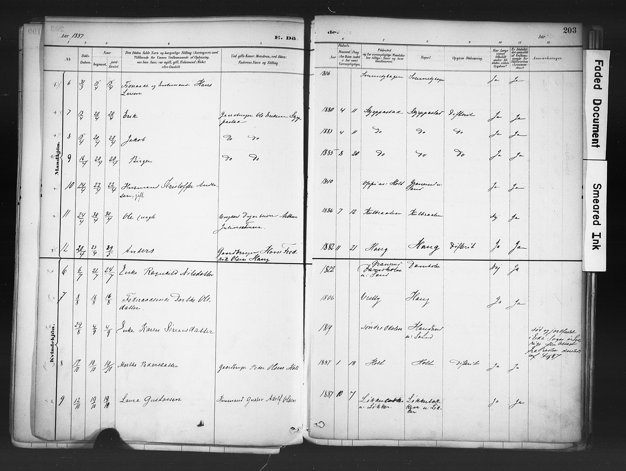 Nord-Odal prestekontor, AV/SAH-PREST-032/H/Ha/Haa/L0006: Parish register (official) no. 6, 1886-1901, p. 203