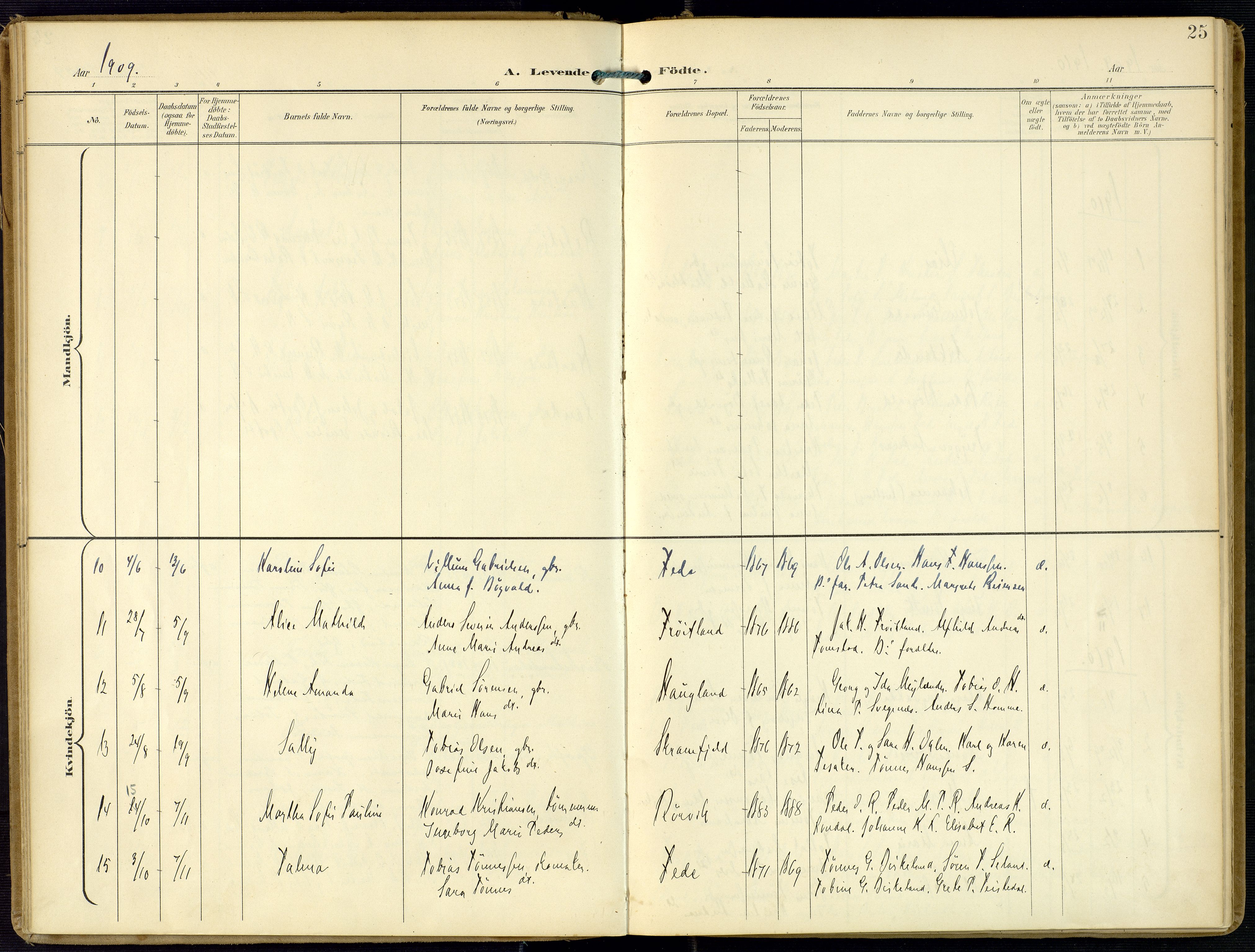 Kvinesdal sokneprestkontor, AV/SAK-1111-0026/F/Fa/Faa/L0005: Parish register (official) no. A 5, 1898-1915, p. 25