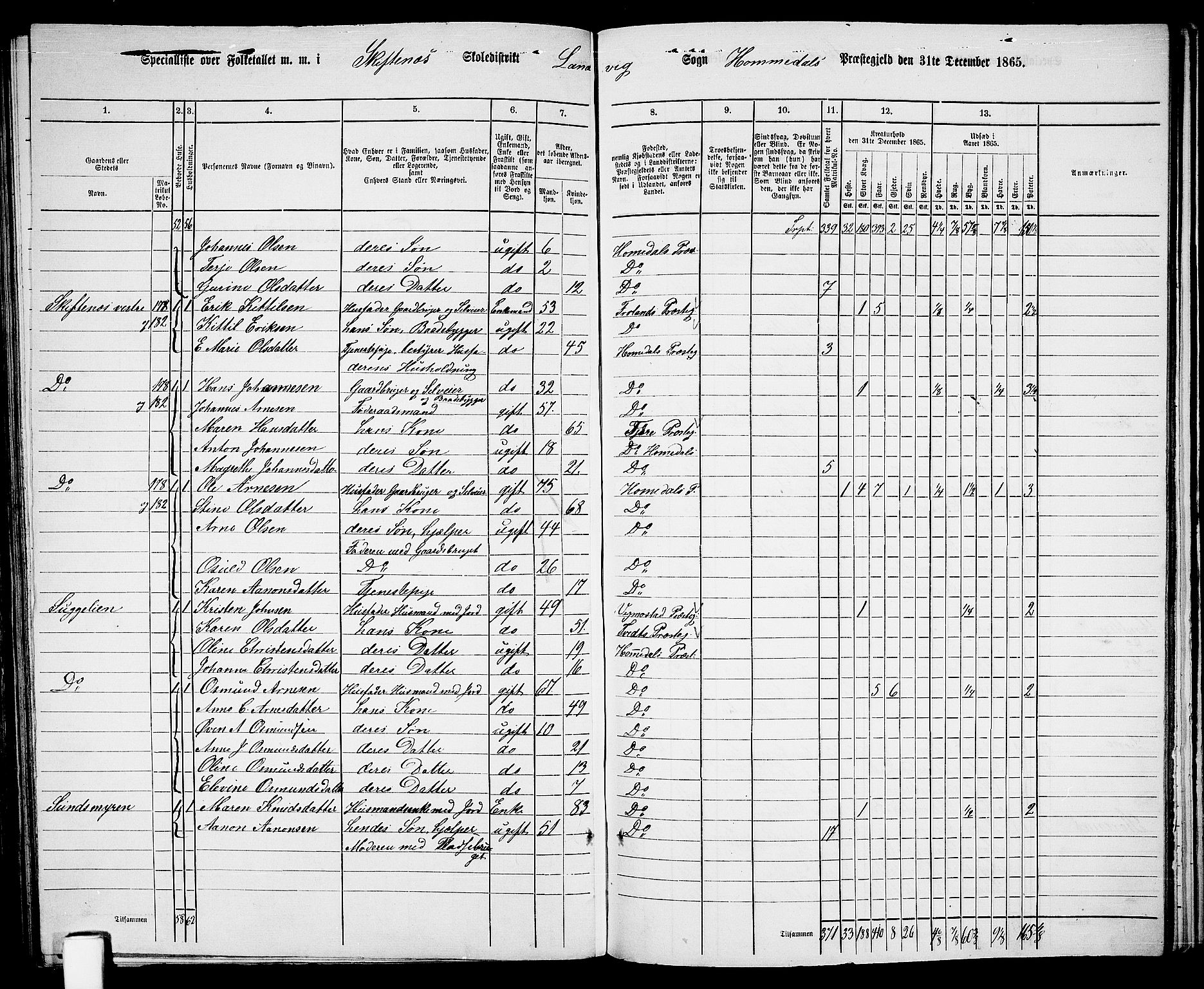 RA, 1865 census for Homedal, 1865, p. 138