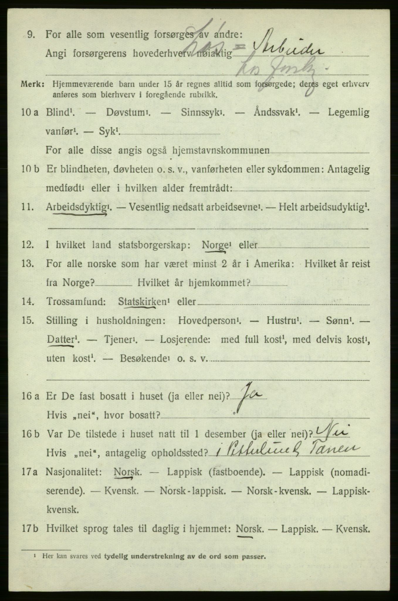 SATØ, 1920 census for Tana, 1920, p. 1917