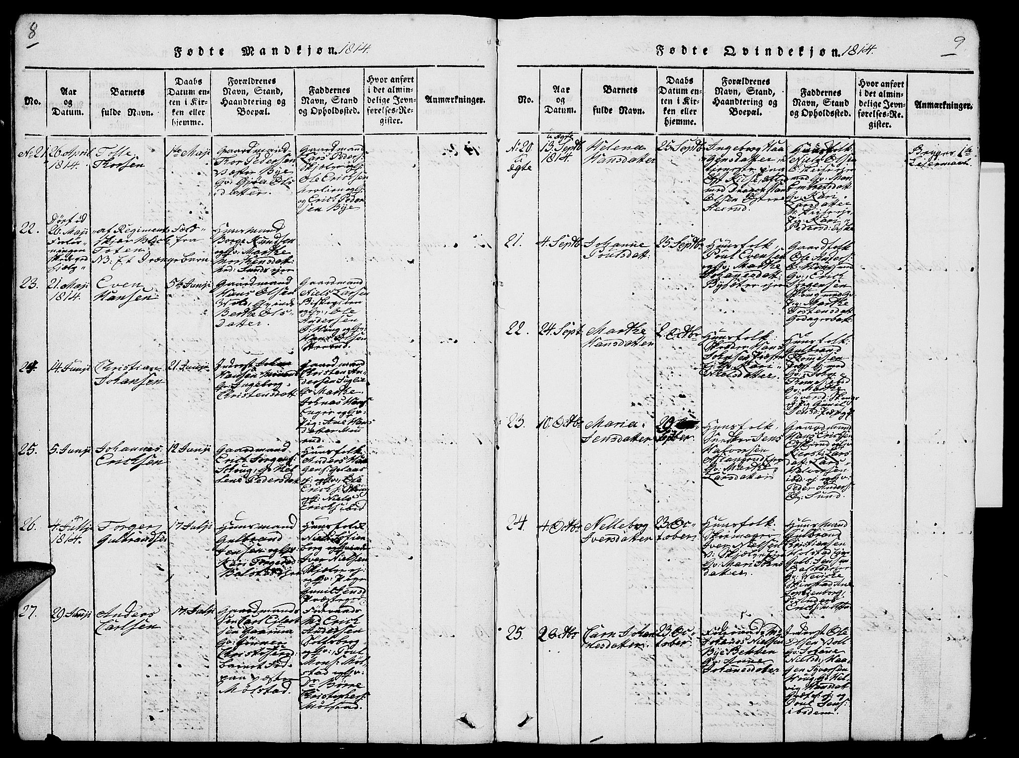 Nes prestekontor, Hedmark, AV/SAH-PREST-020/L/La/L0003: Parish register (copy) no. 3, 1814-1831, p. 8-9