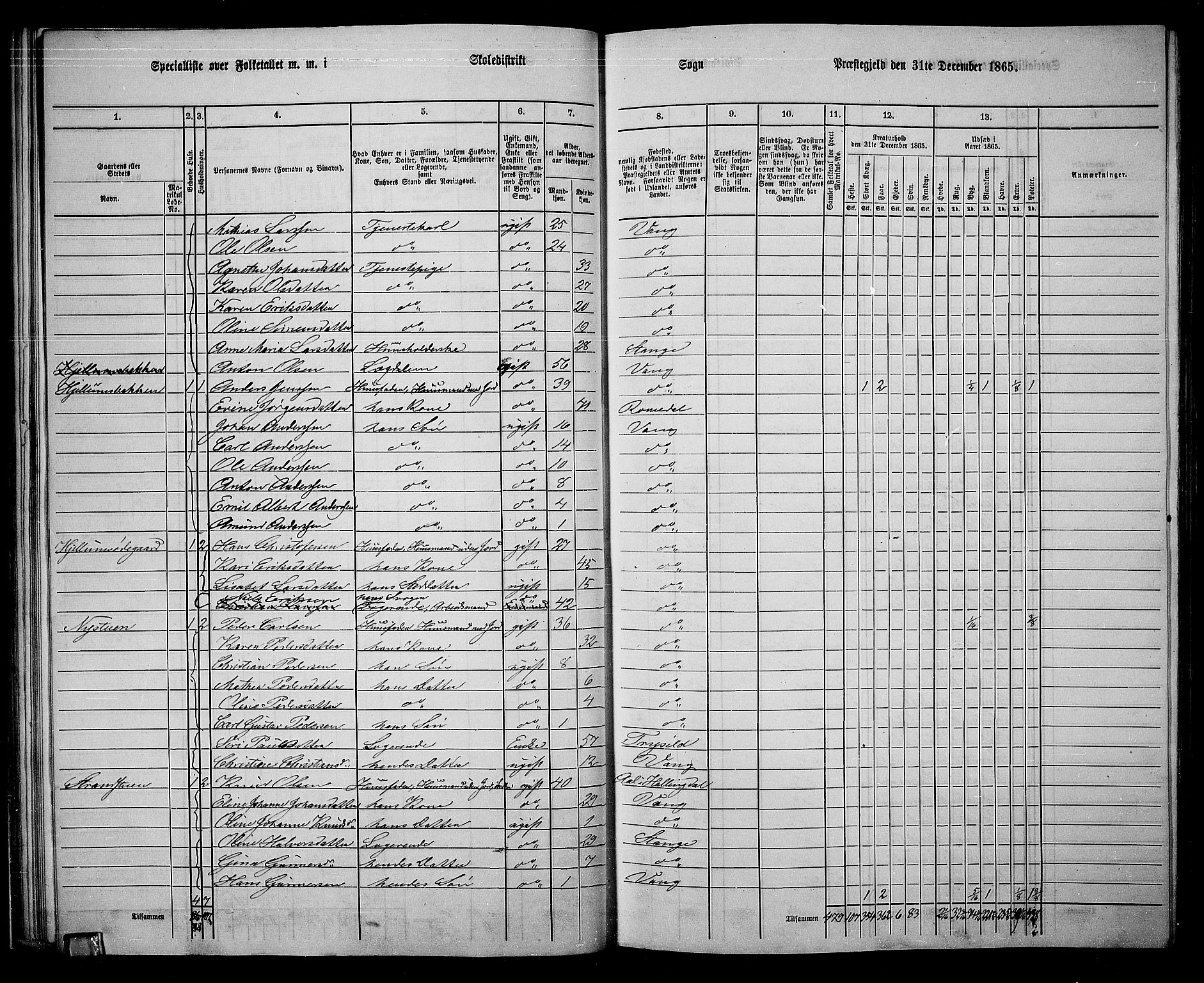 RA, 1865 census for Vang/Vang og Furnes, 1865, p. 194