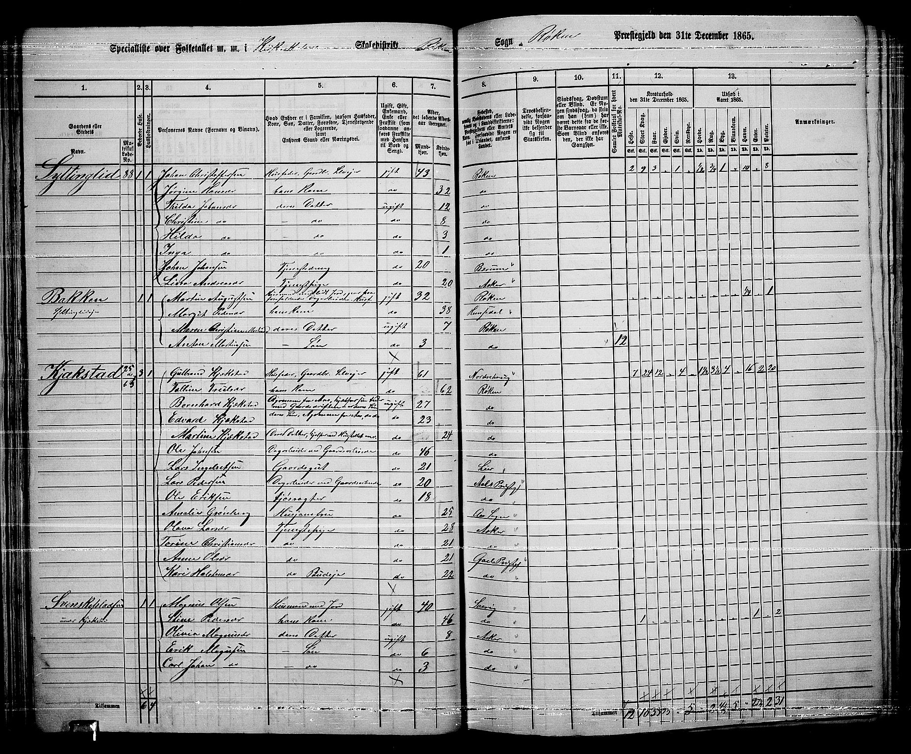 RA, 1865 census for Røyken, 1865, p. 46