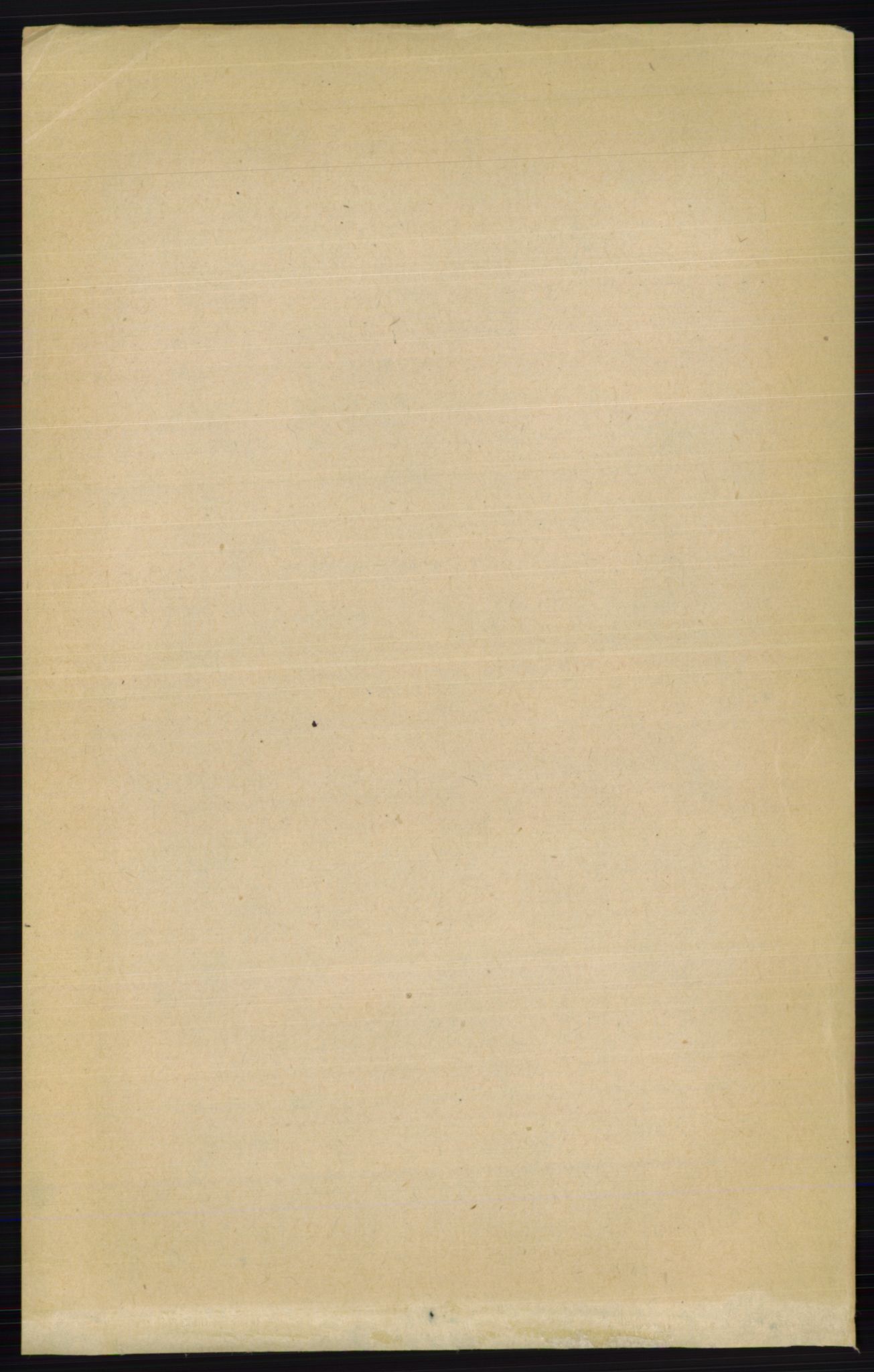 RA, 1891 census for 0412 Ringsaker, 1891, p. 171