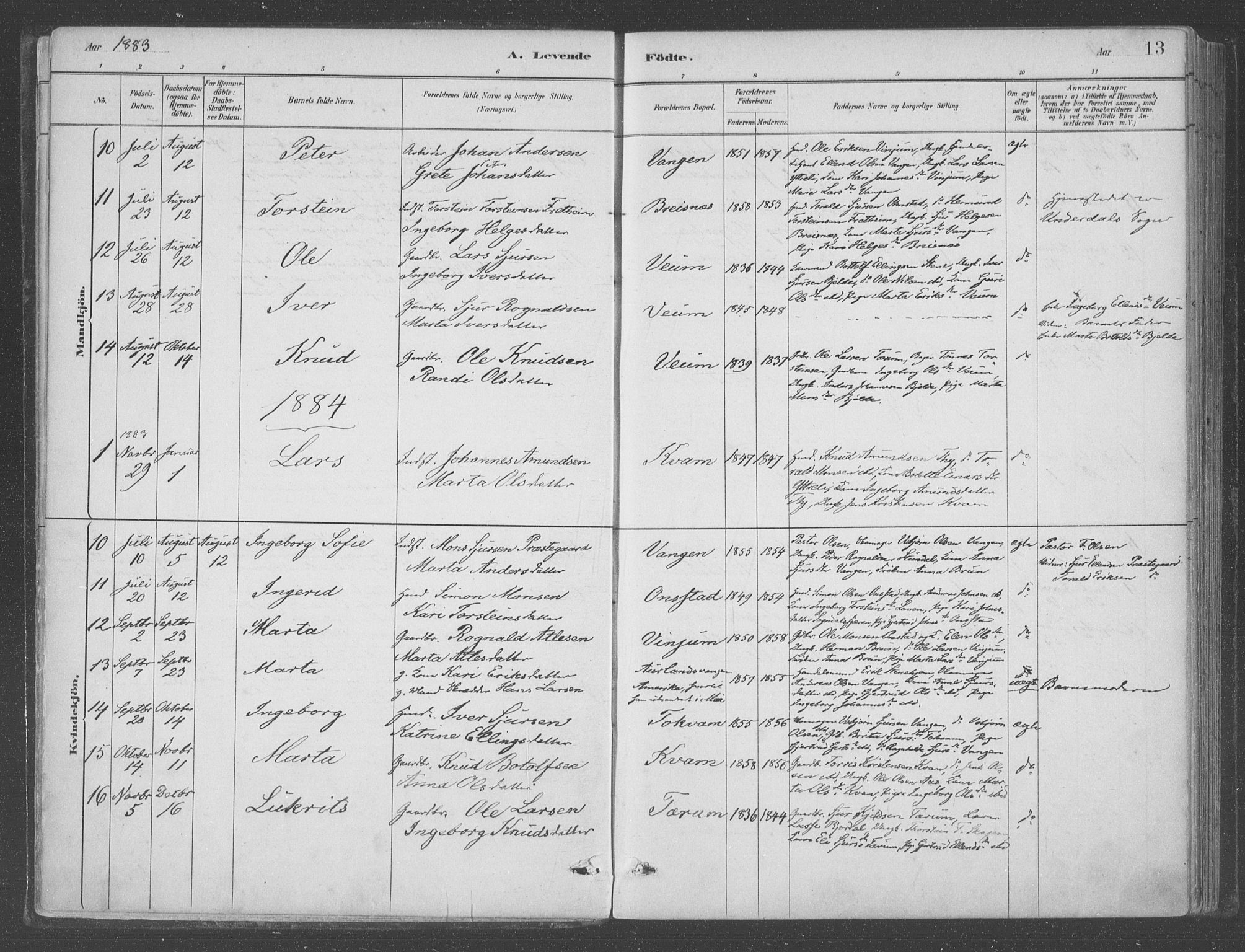 Aurland sokneprestembete, SAB/A-99937/H/Ha/Hab/L0001: Parish register (official) no. B  1, 1880-1909, p. 13