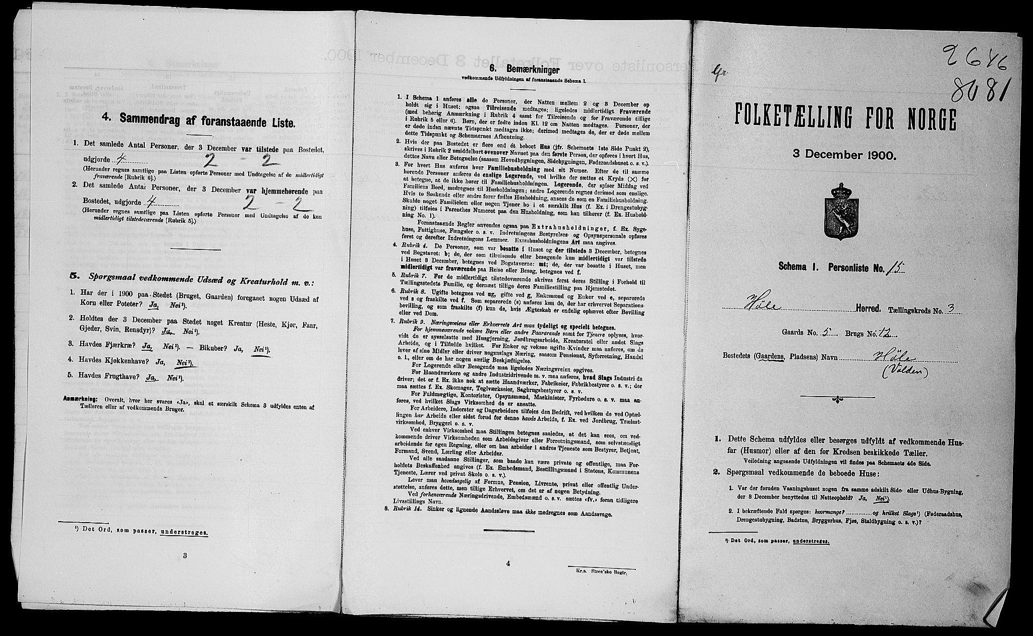 SAST, 1900 census for Høle, 1900, p. 29