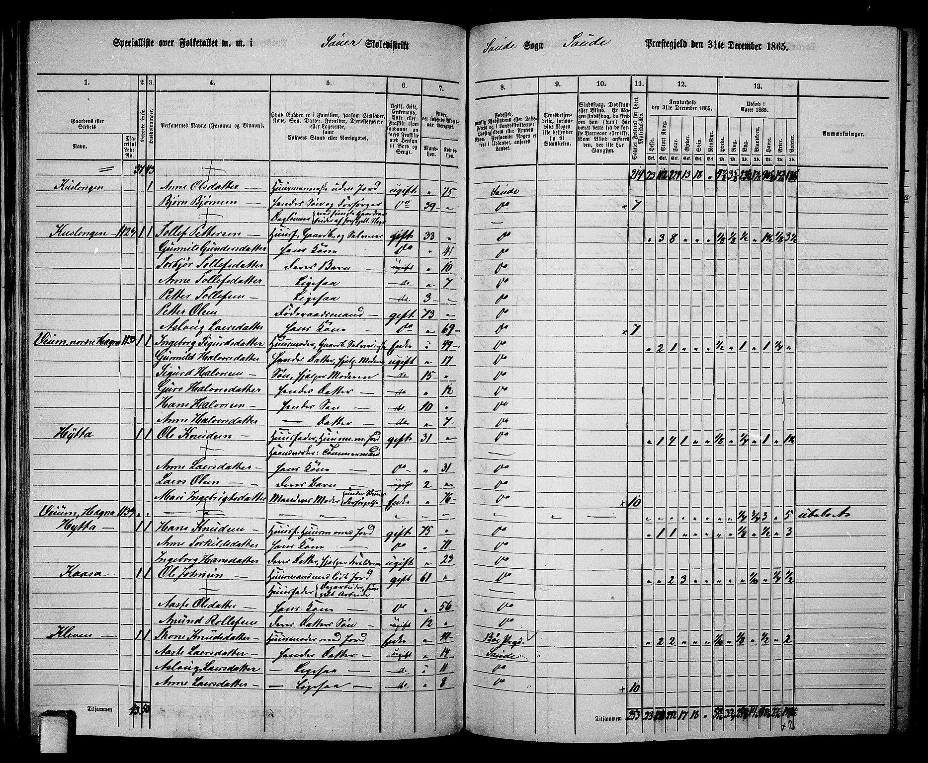 RA, 1865 census for Sauherad, 1865, p. 96