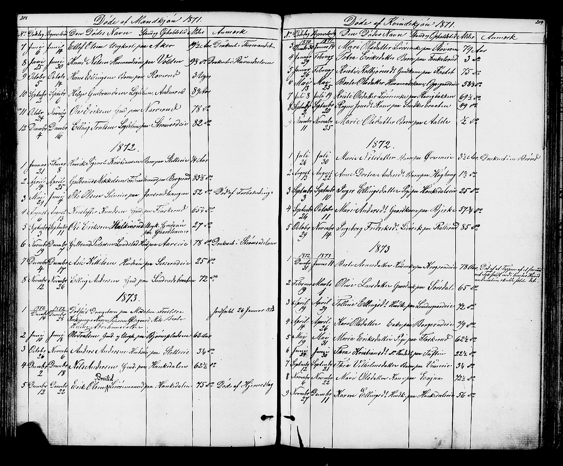 Lunder kirkebøker, AV/SAKO-A-629/G/Ga/L0003a: Parish register (copy) no. I 3, 1869-1888, p. 208-209