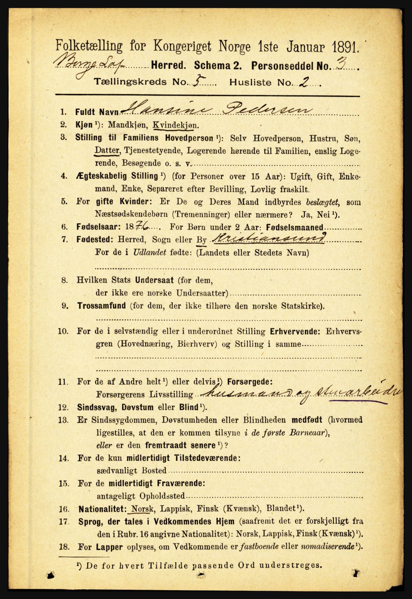 RA, 1891 census for 1862 Borge, 1891, p. 3087