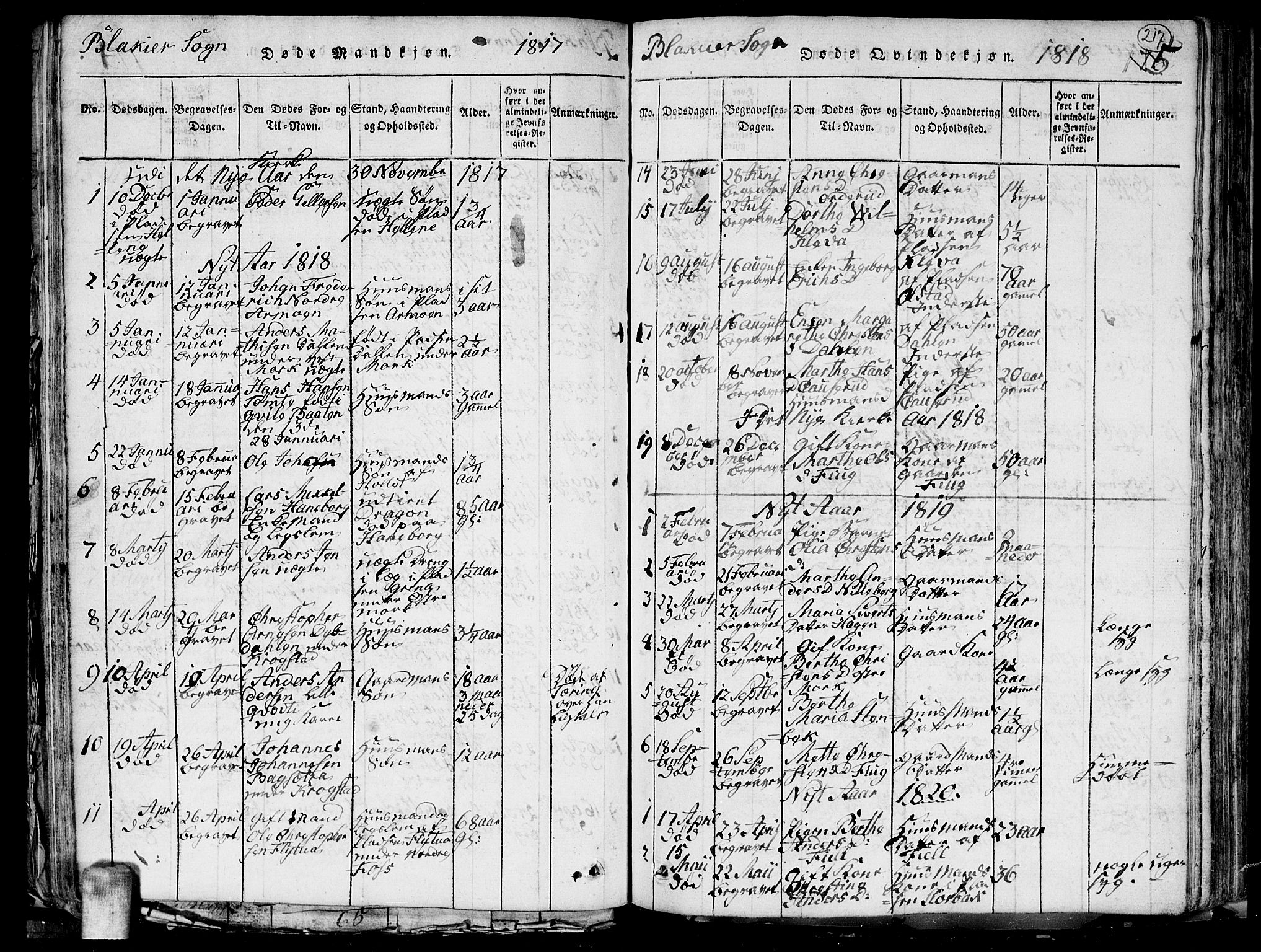 Aurskog prestekontor Kirkebøker, SAO/A-10304a/G/Ga/L0001: Parish register (copy) no. I 1, 1814-1829, p. 217