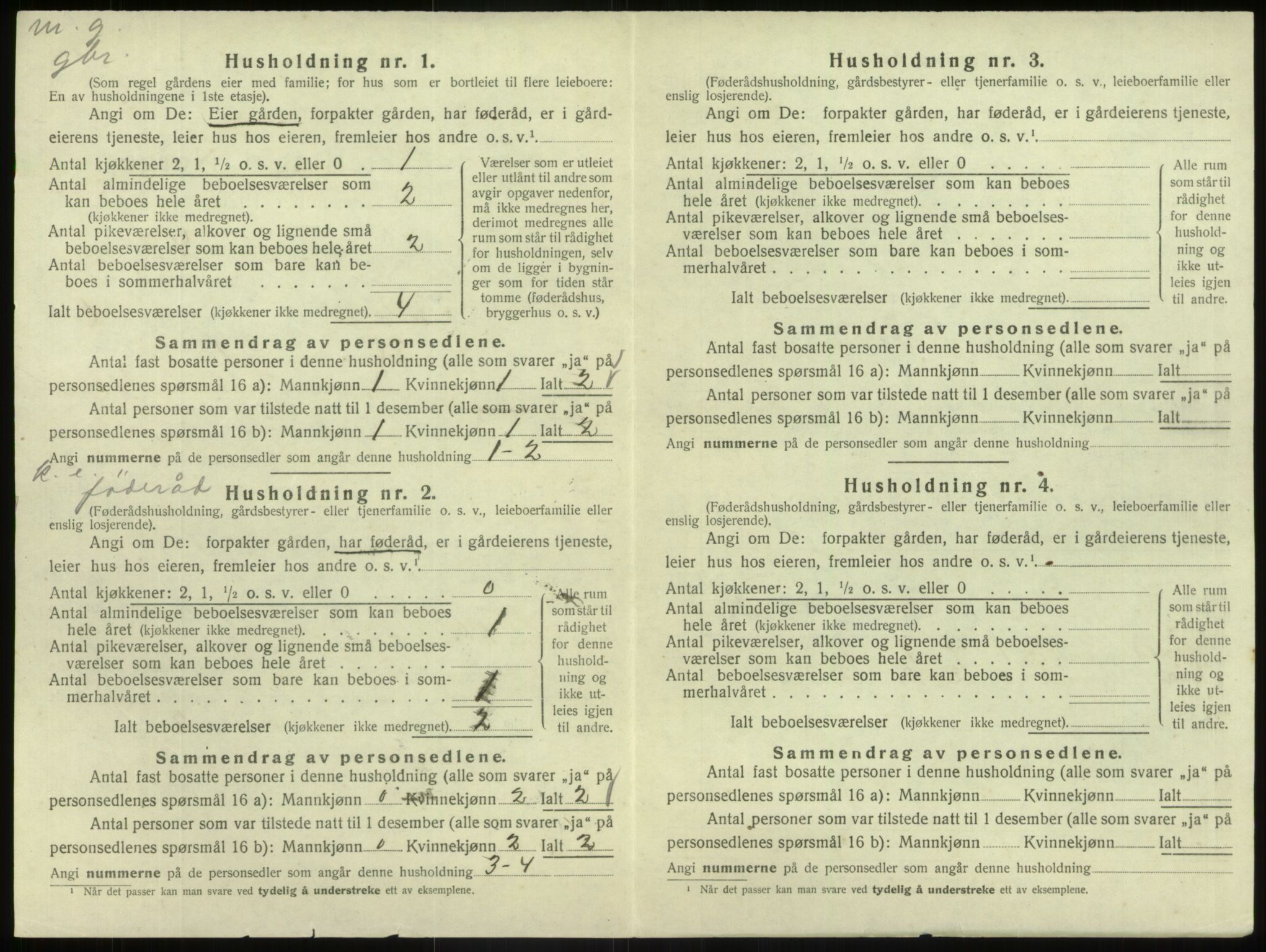 SAB, 1920 census for Hafslo, 1920, p. 770