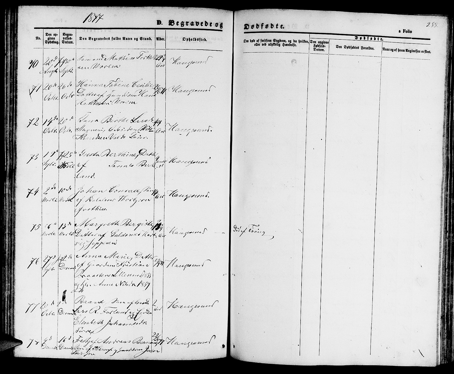 Haugesund sokneprestkontor, AV/SAST-A -101863/H/Ha/Hab/L0001: Parish register (copy) no. B 1, 1873-1881, p. 288