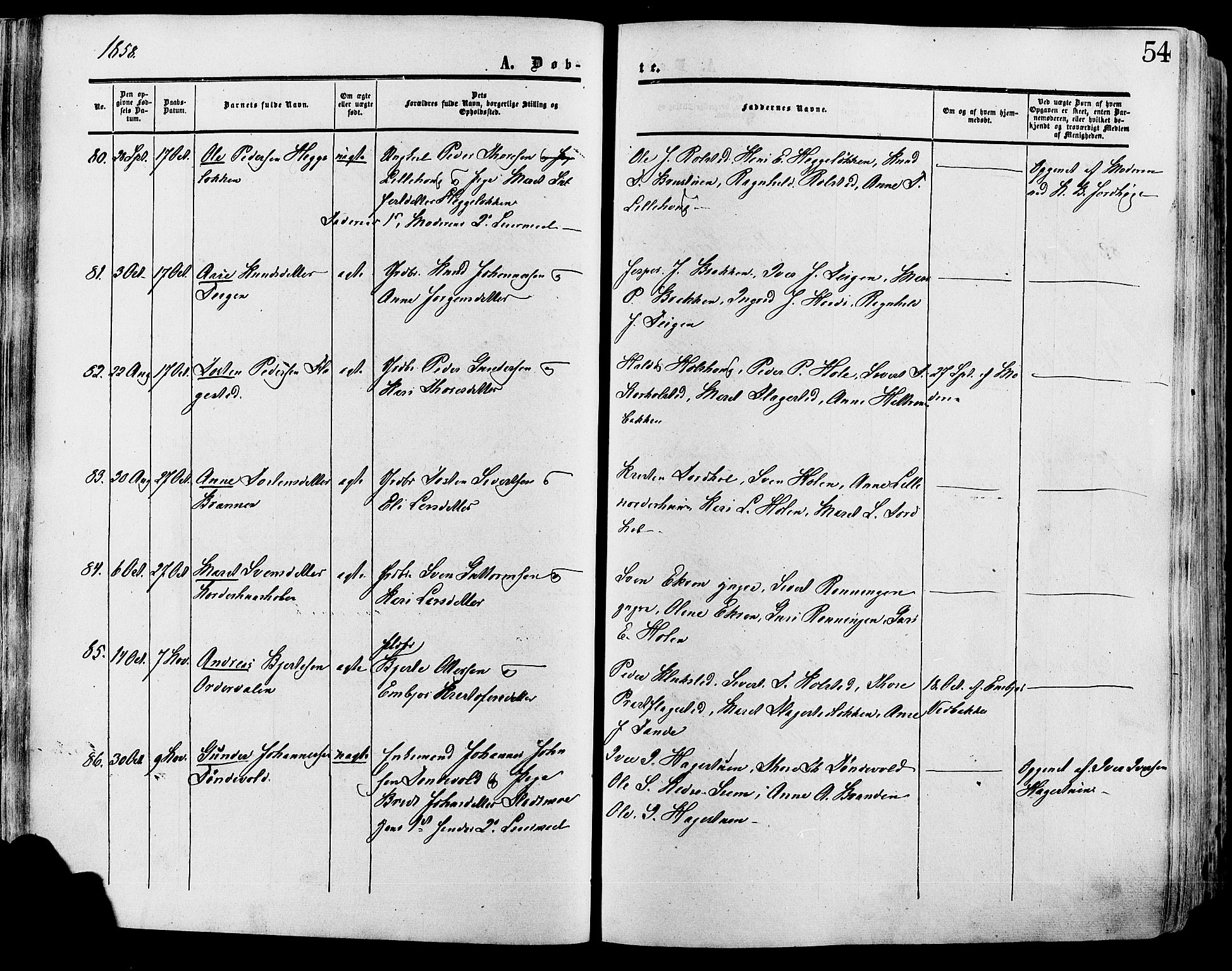 Lesja prestekontor, SAH/PREST-068/H/Ha/Haa/L0008: Parish register (official) no. 8, 1854-1880, p. 54