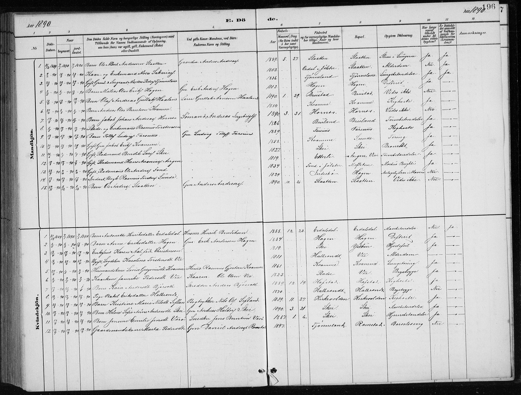 Førde sokneprestembete, SAB/A-79901/H/Hab/Haba/L0002: Parish register (copy) no. A 2, 1881-1898, p. 196