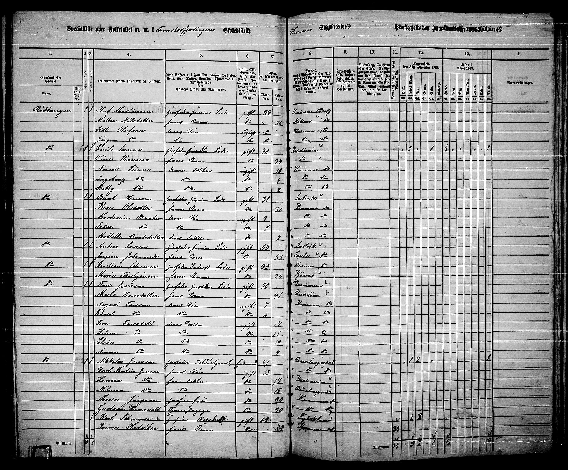 RA, 1865 census for Hurum, 1865, p. 42