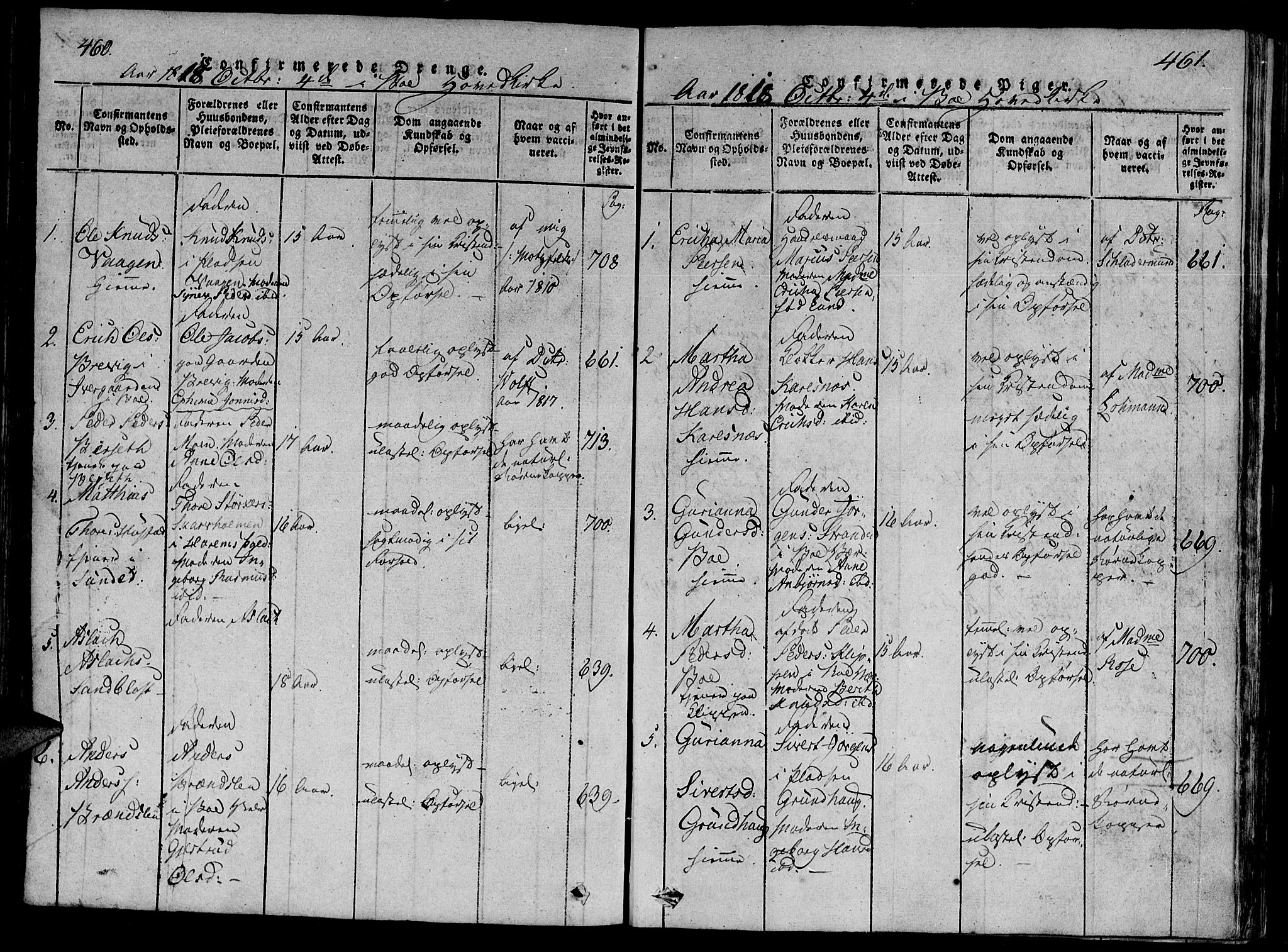 Ministerialprotokoller, klokkerbøker og fødselsregistre - Møre og Romsdal, SAT/A-1454/566/L0763: Parish register (official) no. 566A03 /1, 1817-1829, p. 460-461