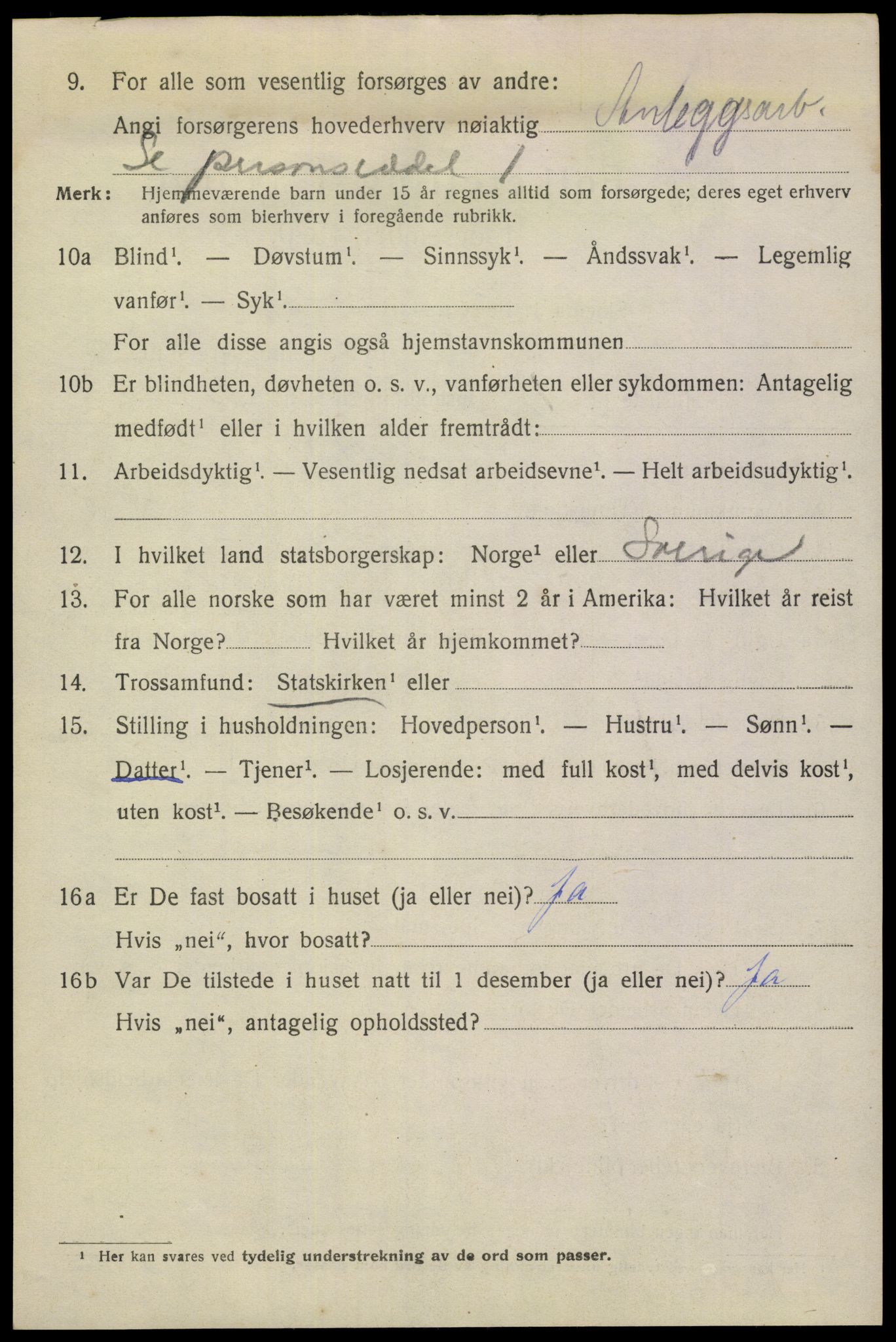 SAKO, 1920 census for Notodden, 1920, p. 11671