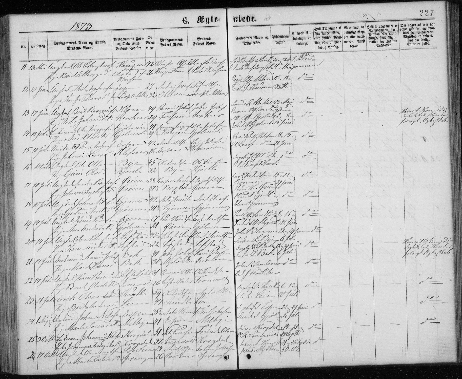 Ministerialprotokoller, klokkerbøker og fødselsregistre - Sør-Trøndelag, AV/SAT-A-1456/668/L0817: Parish register (copy) no. 668C06, 1873-1884, p. 227