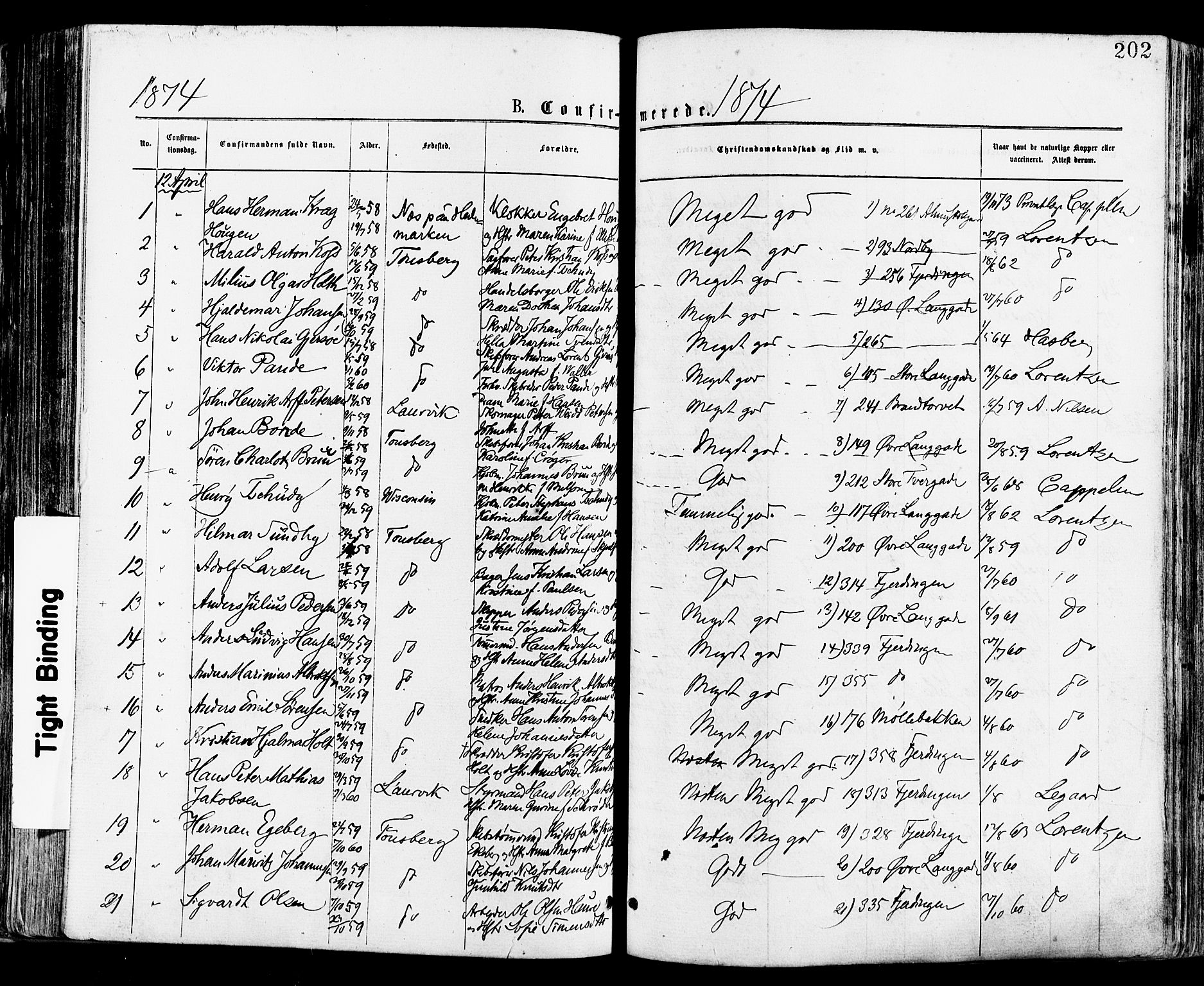 Tønsberg kirkebøker, SAKO/A-330/F/Fa/L0010: Parish register (official) no. I 10, 1874-1880, p. 202