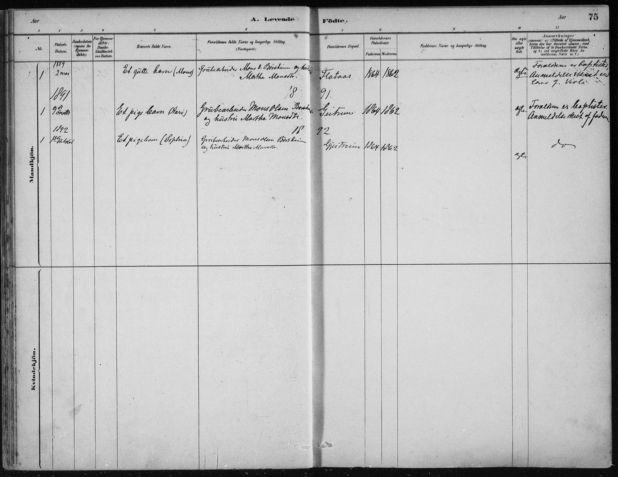 Hosanger sokneprestembete, SAB/A-75801/H/Haa: Parish register (official) no. B  1, 1880-1896, p. 75