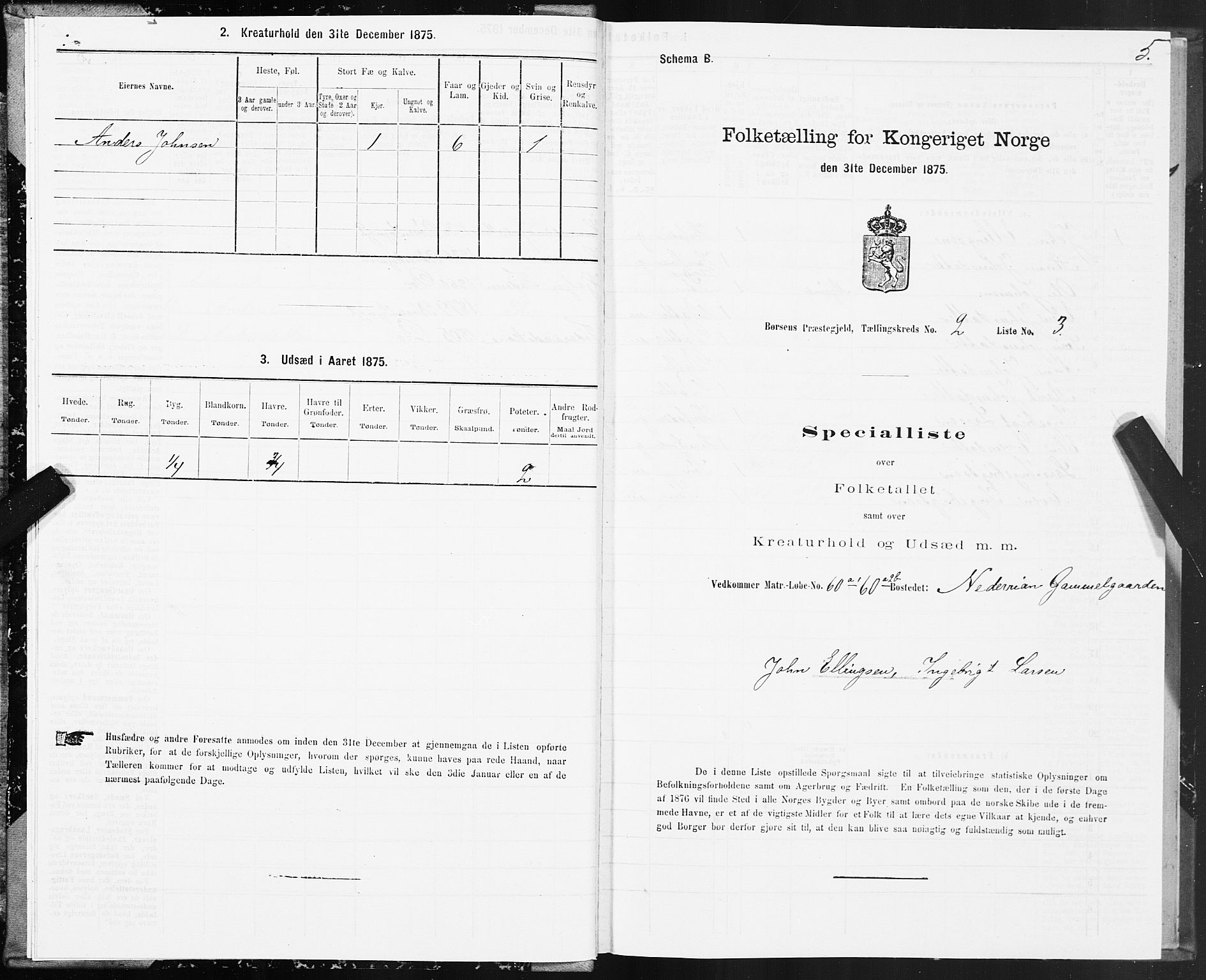 SAT, 1875 census for 1658P Børsa, 1875, p. 2005