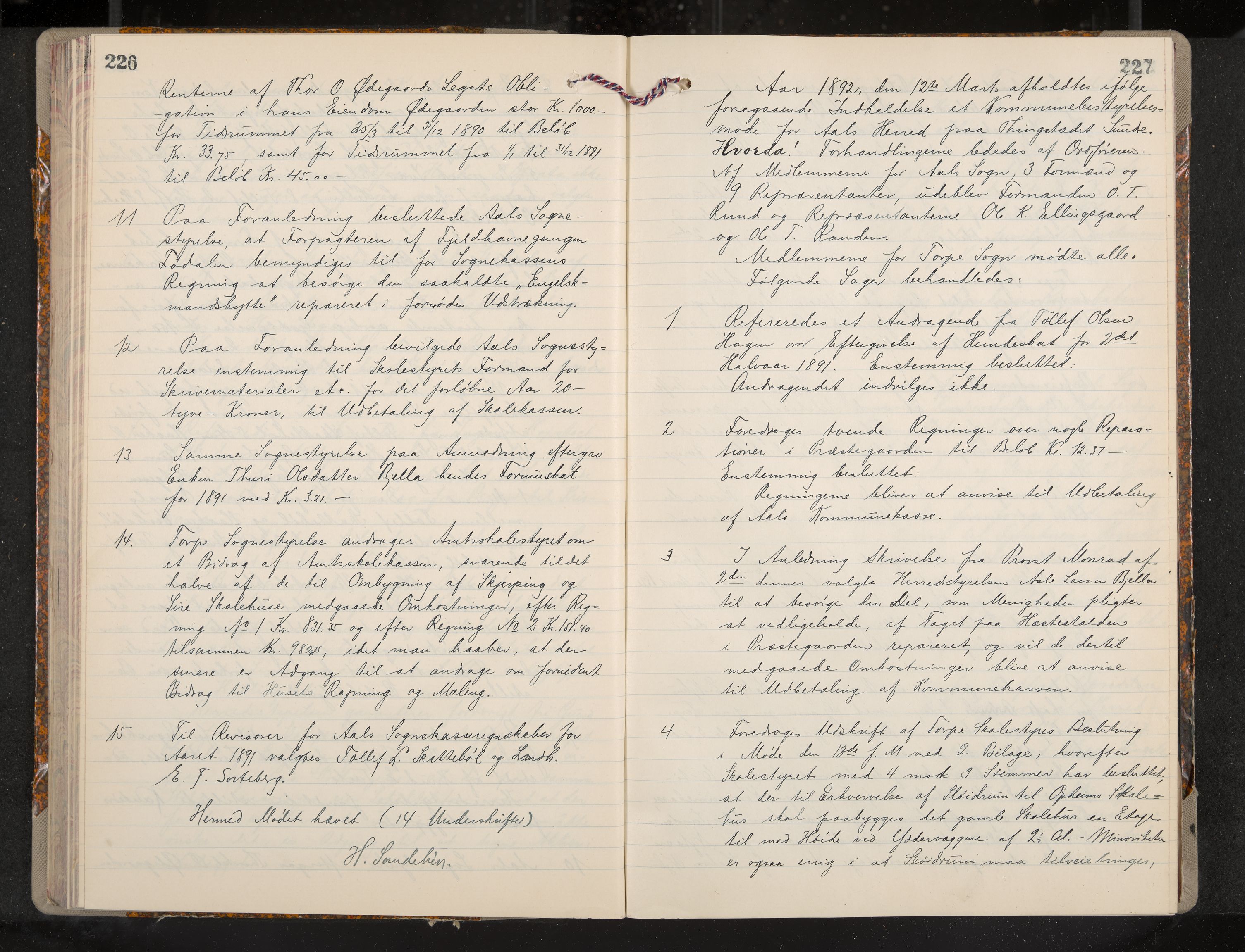 Ål formannskap og sentraladministrasjon, IKAK/0619021/A/Aa/L0004: Utskrift av møtebok, 1881-1901, p. 226-227