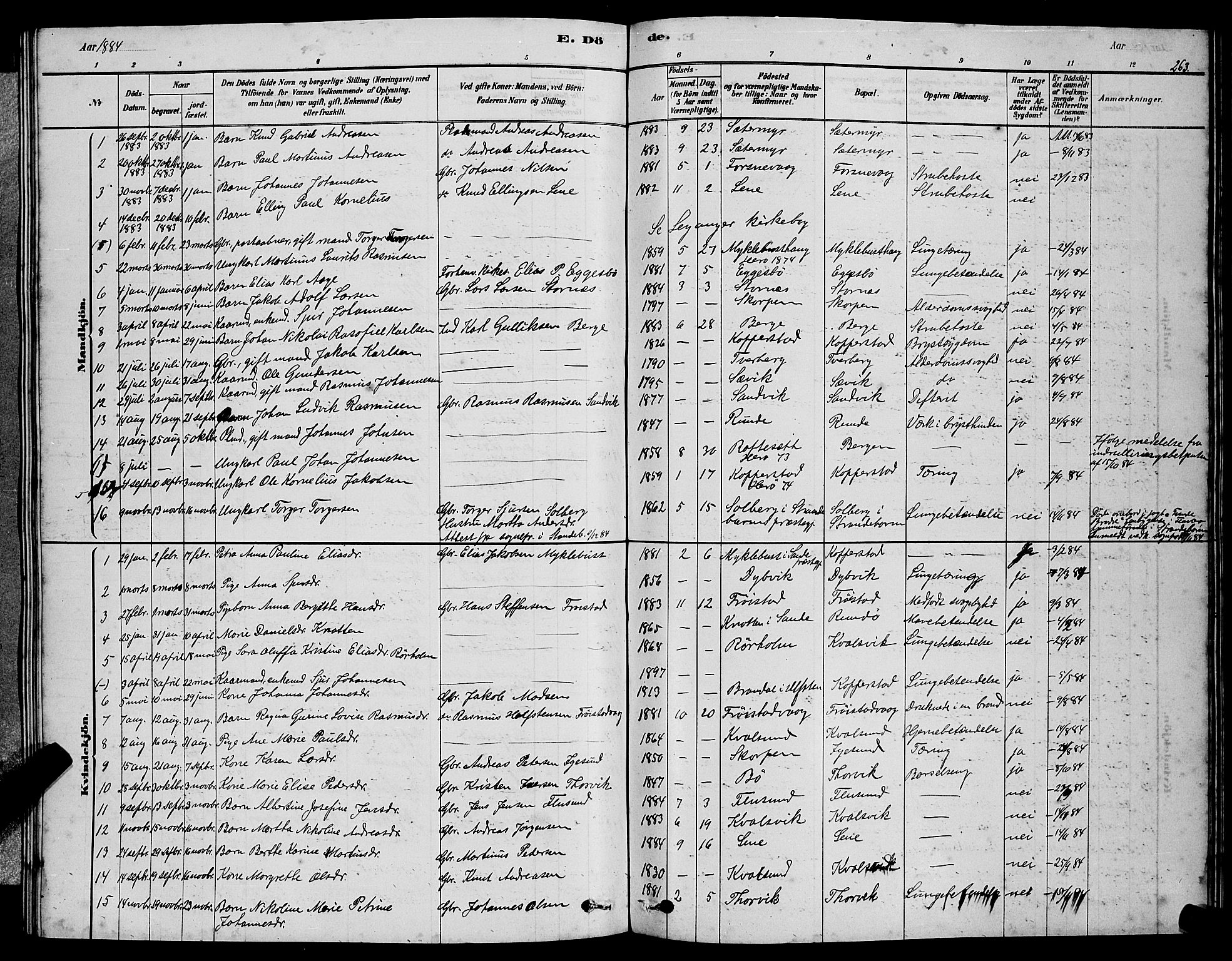 Ministerialprotokoller, klokkerbøker og fødselsregistre - Møre og Romsdal, AV/SAT-A-1454/507/L0081: Parish register (copy) no. 507C04, 1878-1898, p. 263