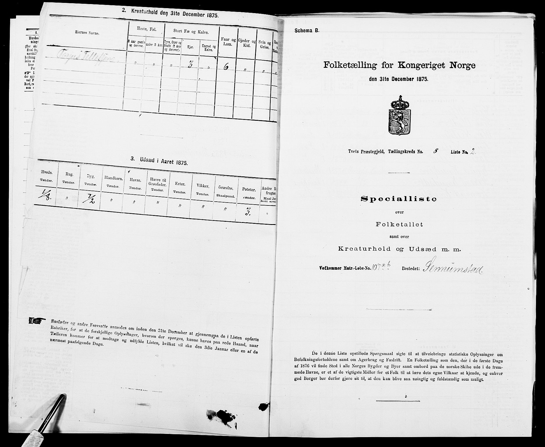 SAK, 1875 census for 1013P Tveit, 1875, p. 989