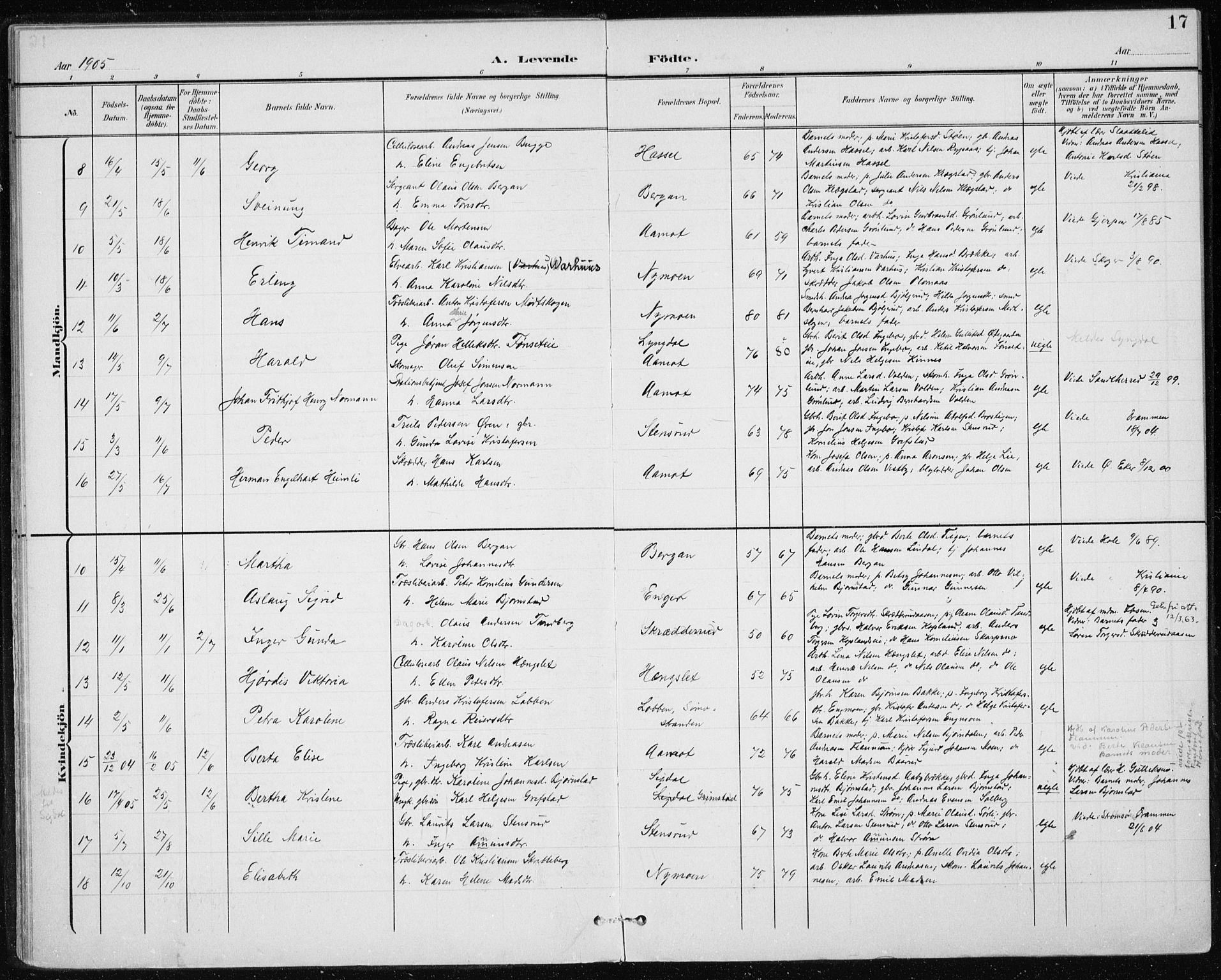 Modum kirkebøker, AV/SAKO-A-234/F/Fa/L0017: Parish register (official) no. 17, 1900-1915, p. 17