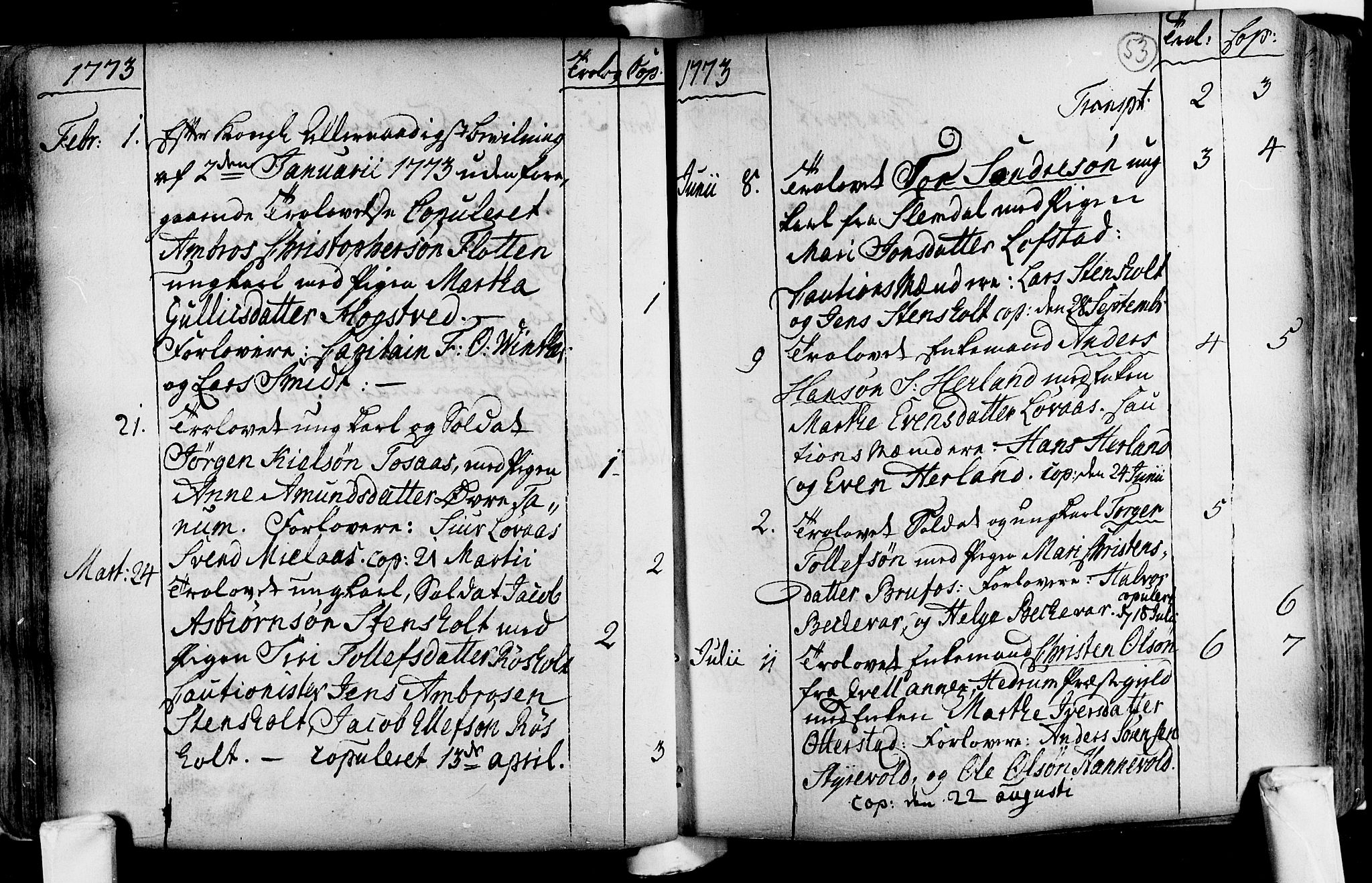 Lardal kirkebøker, SAKO/A-350/F/Fa/L0004: Parish register (official) no. i 4, 1733-1815, p. 53