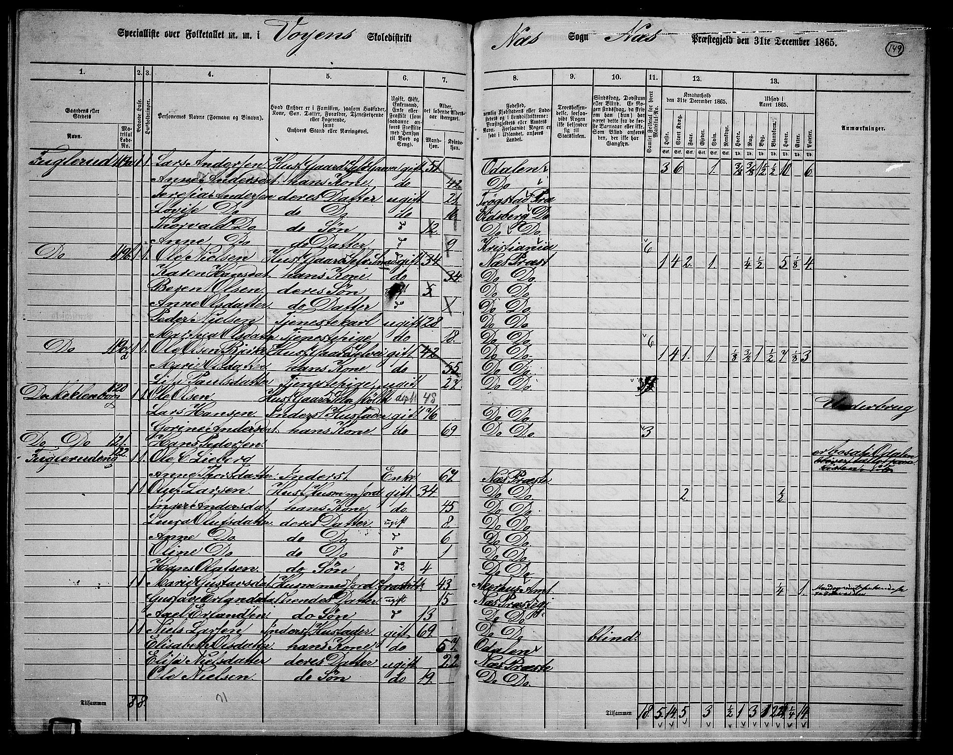 RA, 1865 census for Nes, 1865, p. 135