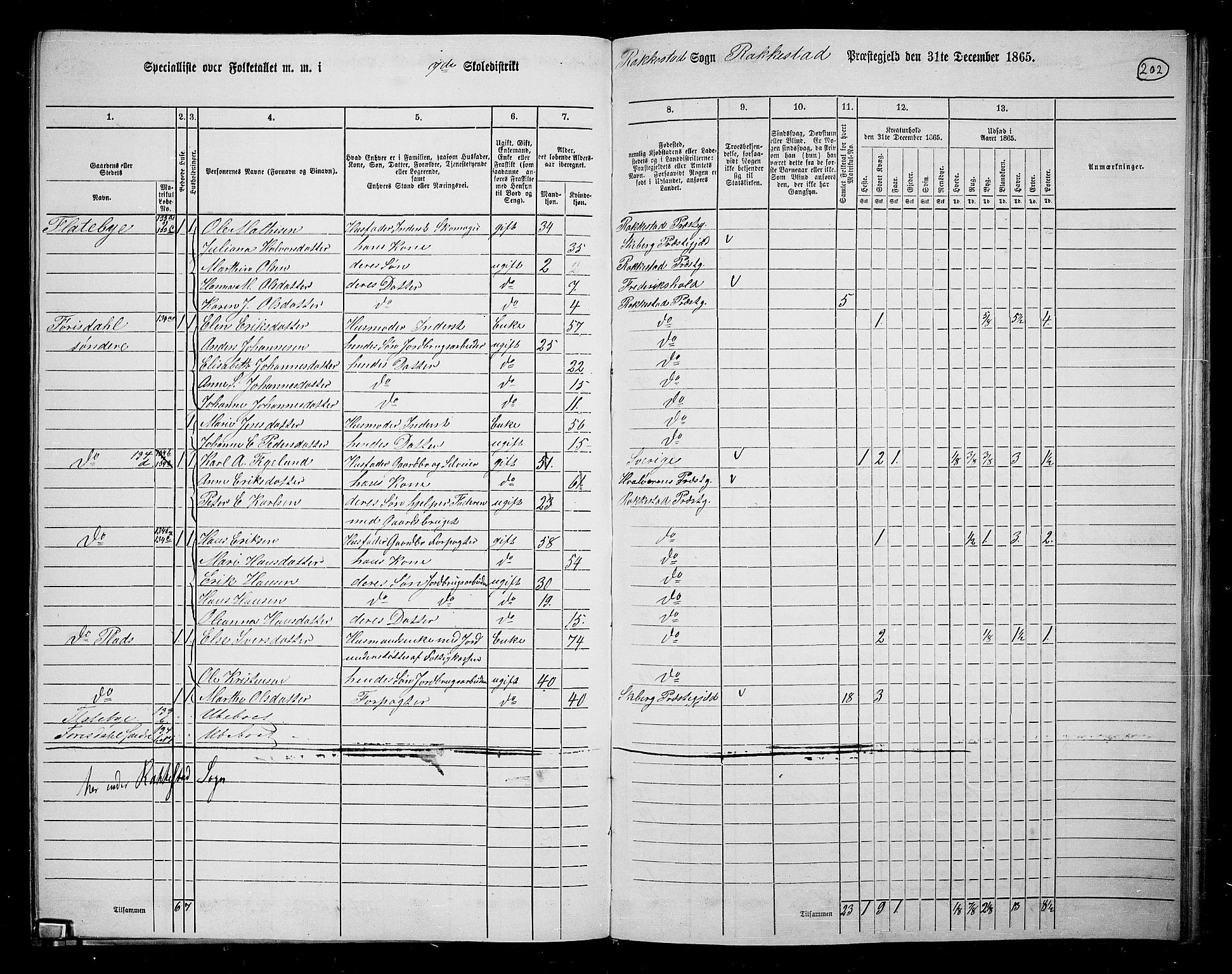 RA, 1865 census for Rakkestad, 1865, p. 194