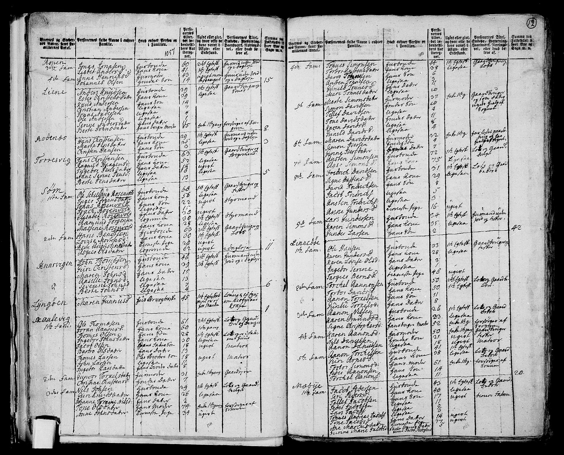 RA, 1801 census for 1012P Oddernes, 1801, p. 11b-12a