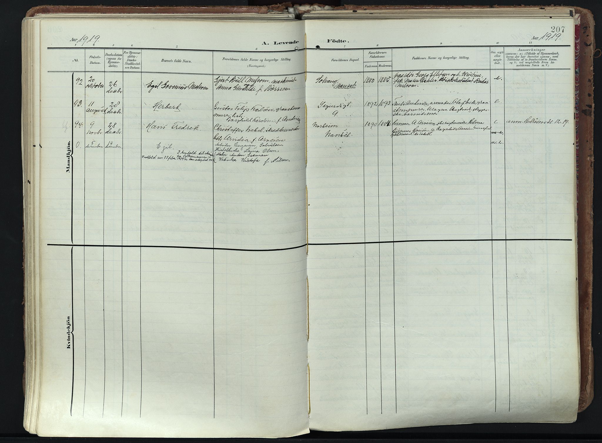 Larvik kirkebøker, AV/SAKO-A-352/F/Fa/L0012: Parish register (official) no. I 12, 1905-1933, p. 207