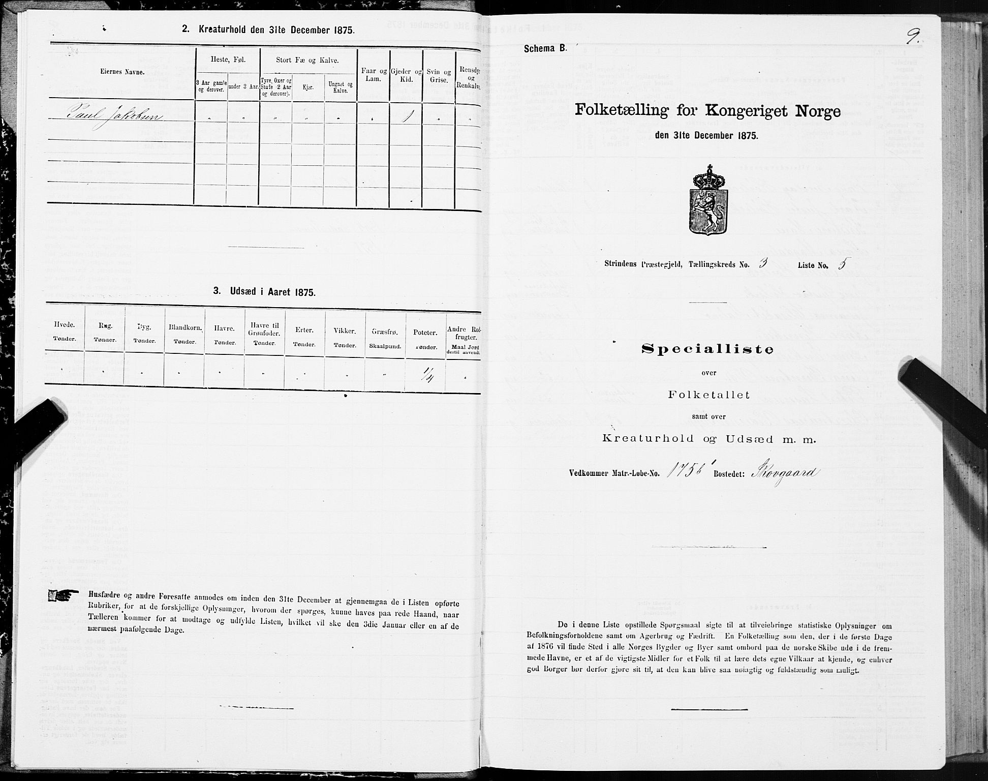 SAT, 1875 census for 1660P Strinda, 1875, p. 2009