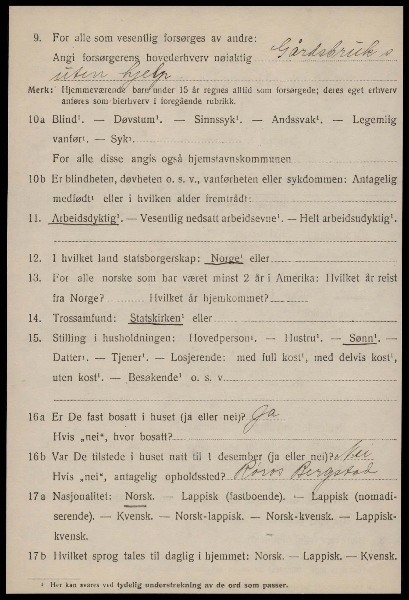 SAT, 1920 census for Røros, 1920, p. 9391