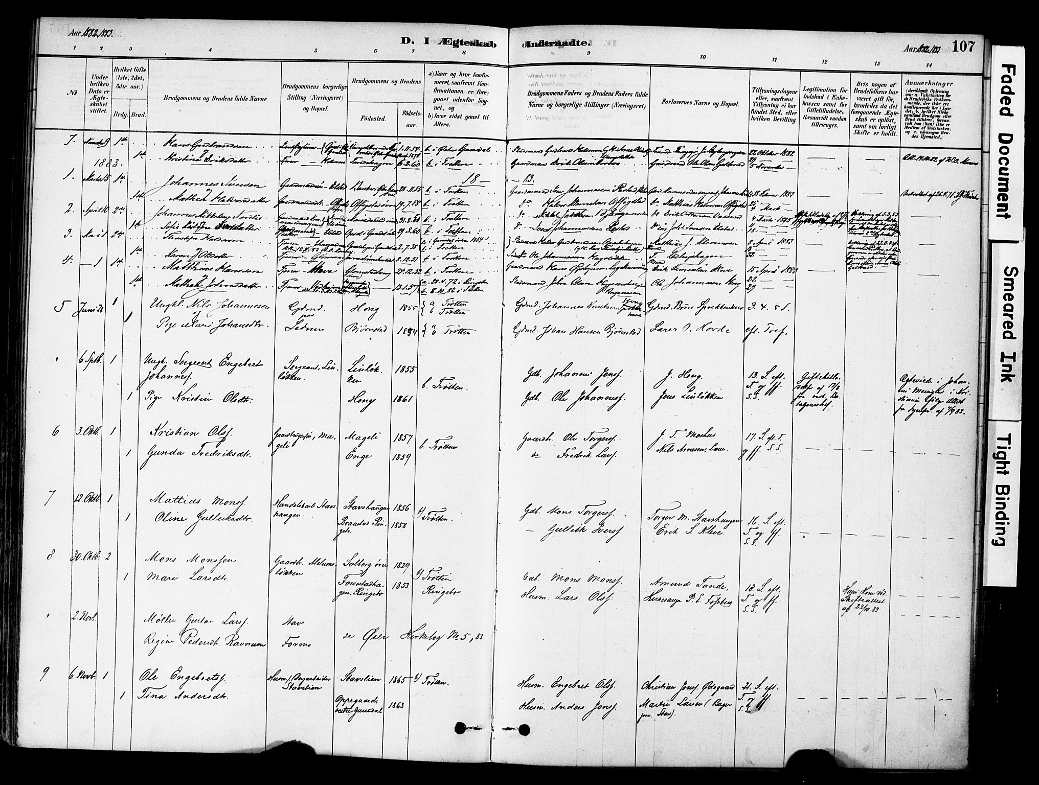 Øyer prestekontor, SAH/PREST-084/H/Ha/Haa/L0009: Parish register (official) no. 9, 1878-1893, p. 107