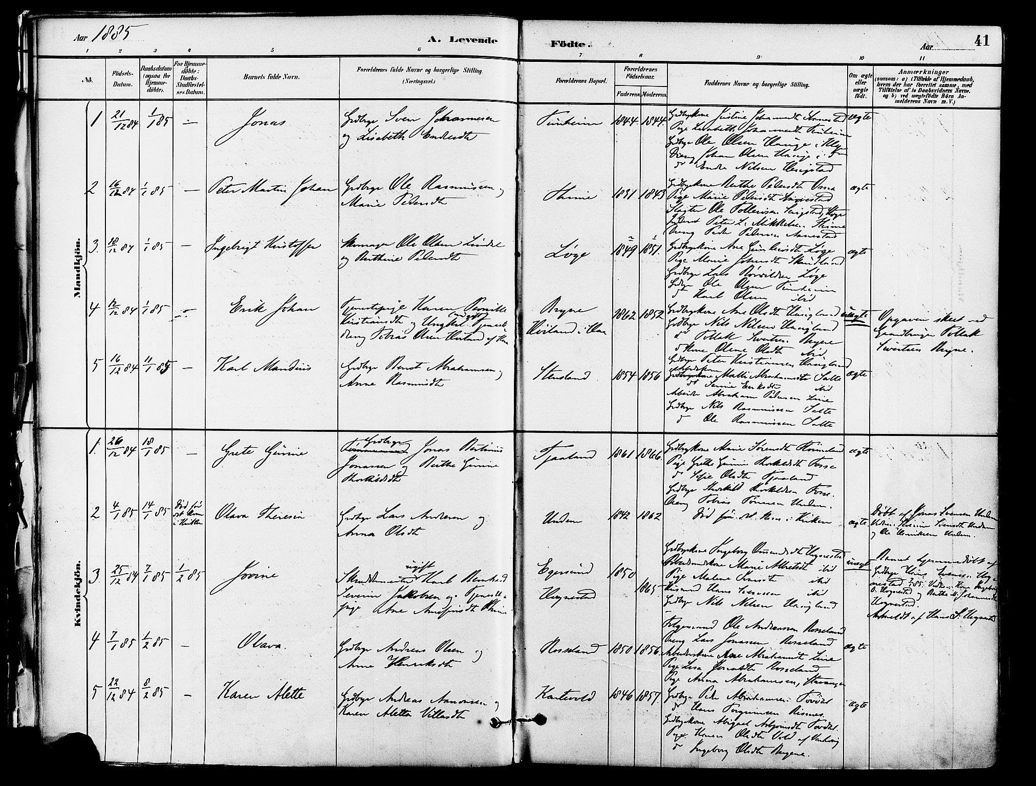 Lye sokneprestkontor, SAST/A-101794/001/30BA/L0009: Parish register (official) no. A 8, 1881-1892, p. 41