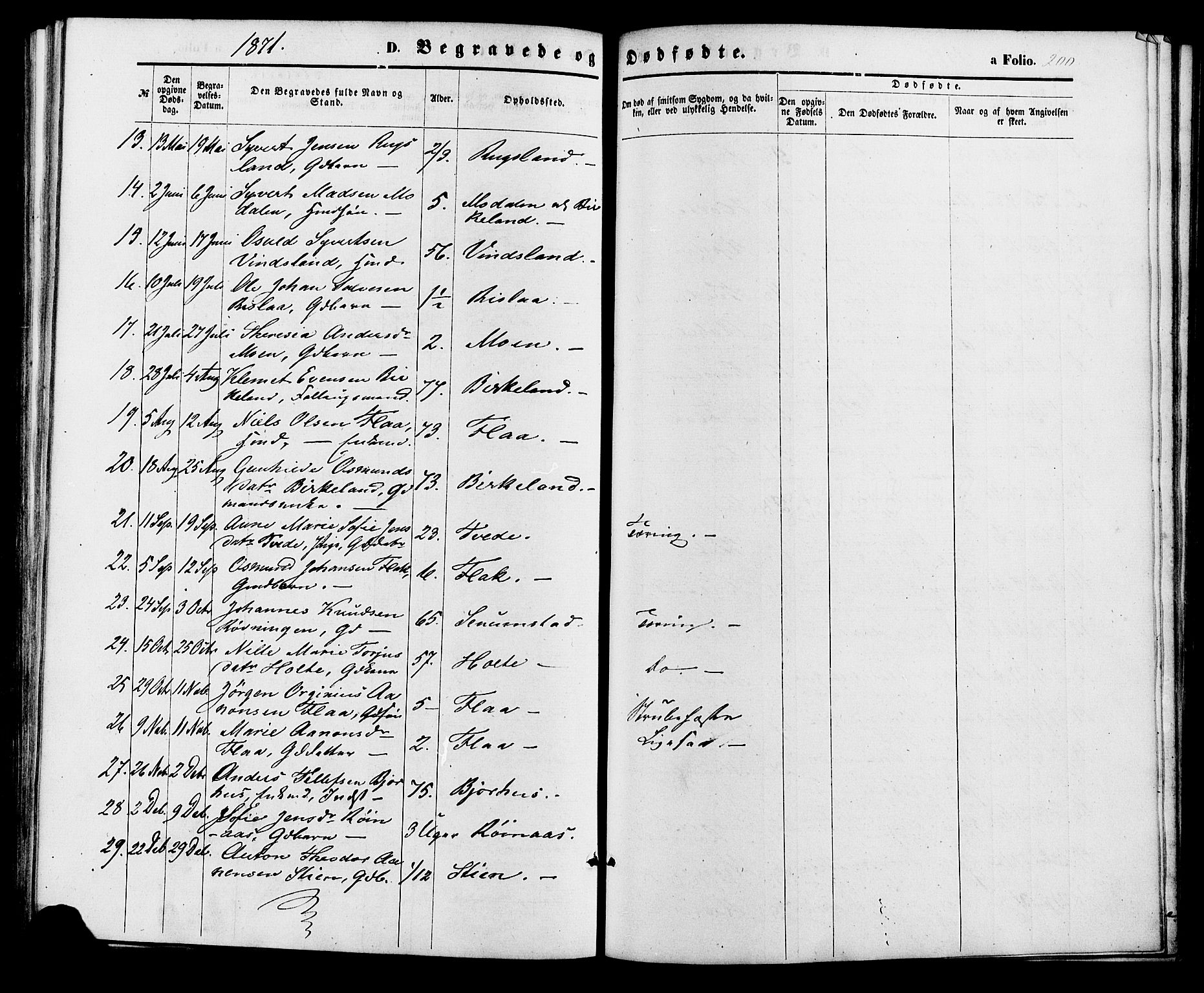 Birkenes sokneprestkontor, AV/SAK-1111-0004/F/Fa/L0004: Parish register (official) no. A 4, 1867-1886, p. 200