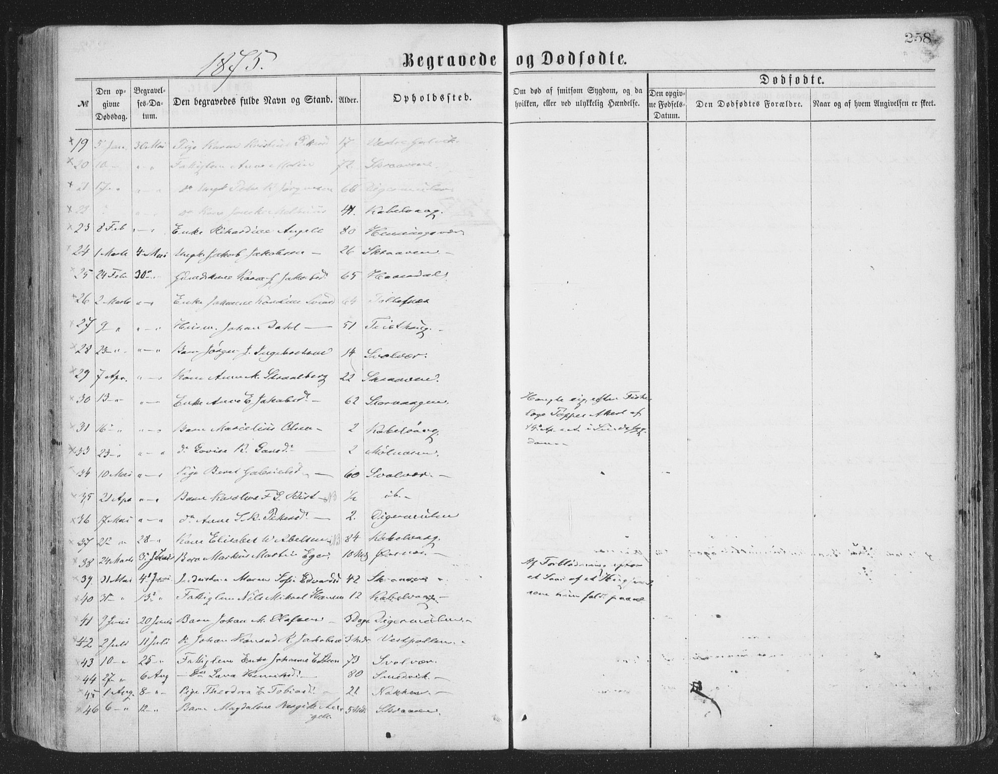 Ministerialprotokoller, klokkerbøker og fødselsregistre - Nordland, AV/SAT-A-1459/874/L1057: Parish register (official) no. 874A01, 1866-1877, p. 258