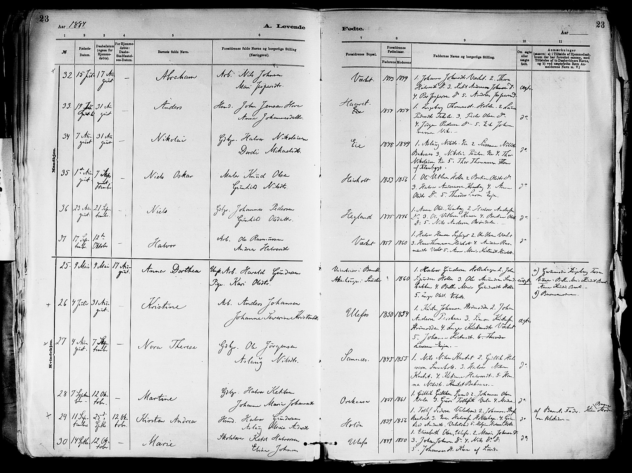 Holla kirkebøker, SAKO/A-272/F/Fa/L0008: Parish register (official) no. 8, 1882-1897, p. 23