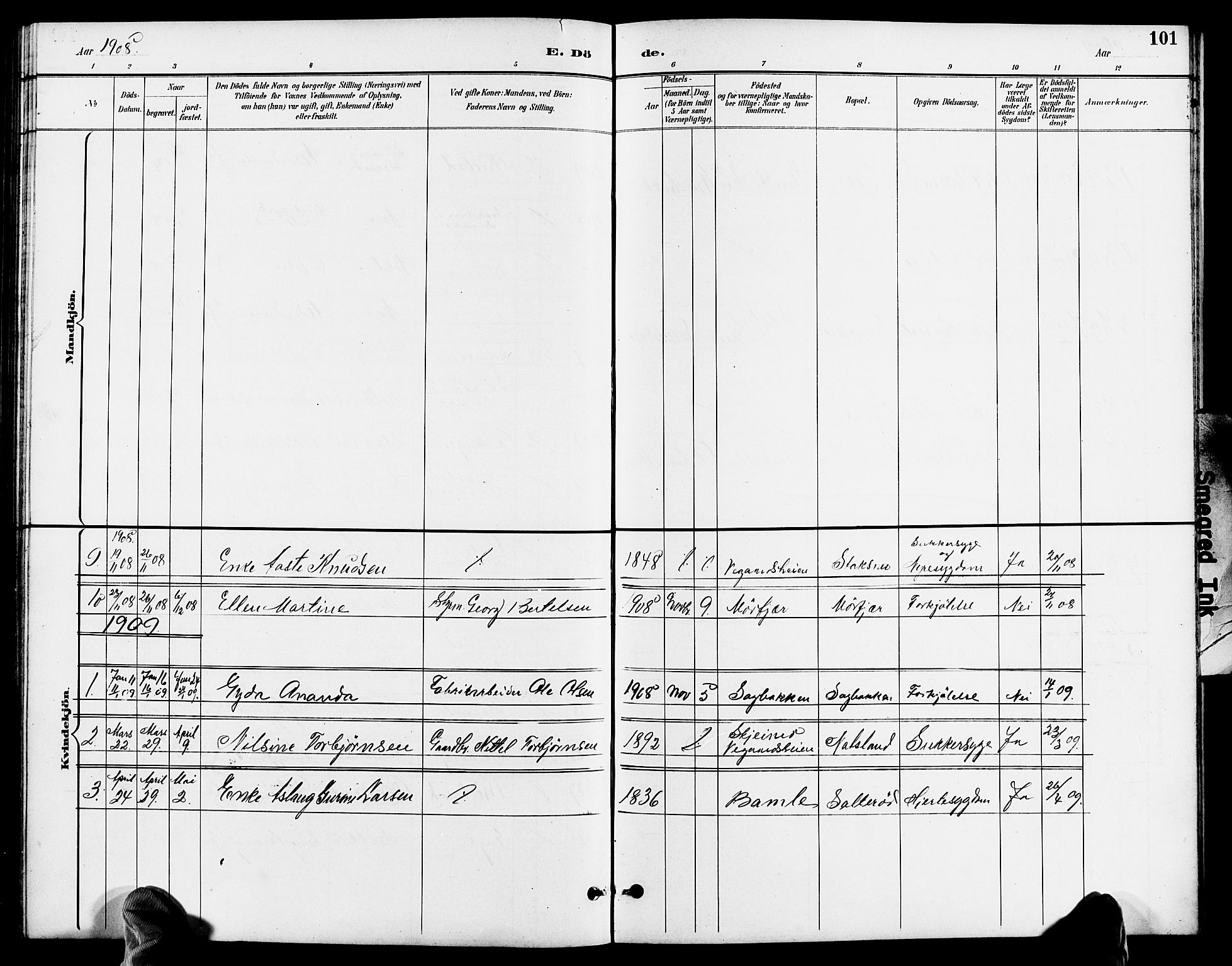 Austre Moland sokneprestkontor, SAK/1111-0001/F/Fb/Fbb/L0002: Parish register (copy) no. B 2, 1894-1918, p. 101