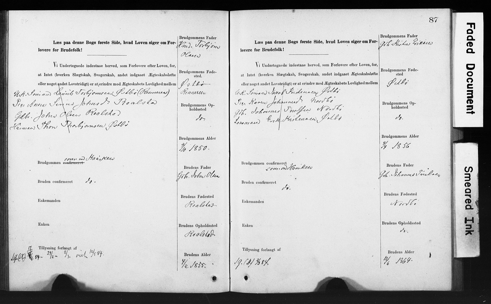 Rennesøy sokneprestkontor, AV/SAST-A -101827/I/Ie/L0001: Banns register no. 1, 1873-1898, p. 87