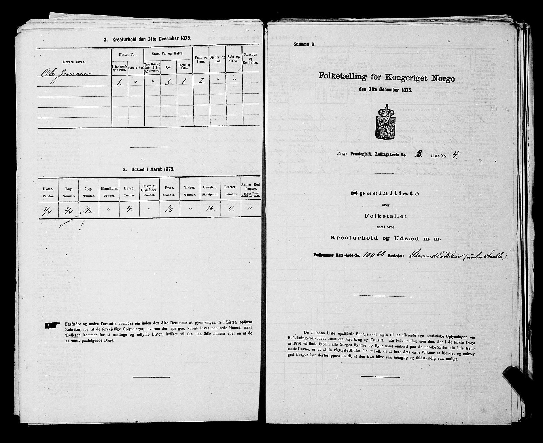 RA, 1875 census for 0113P Borge, 1875, p. 1110