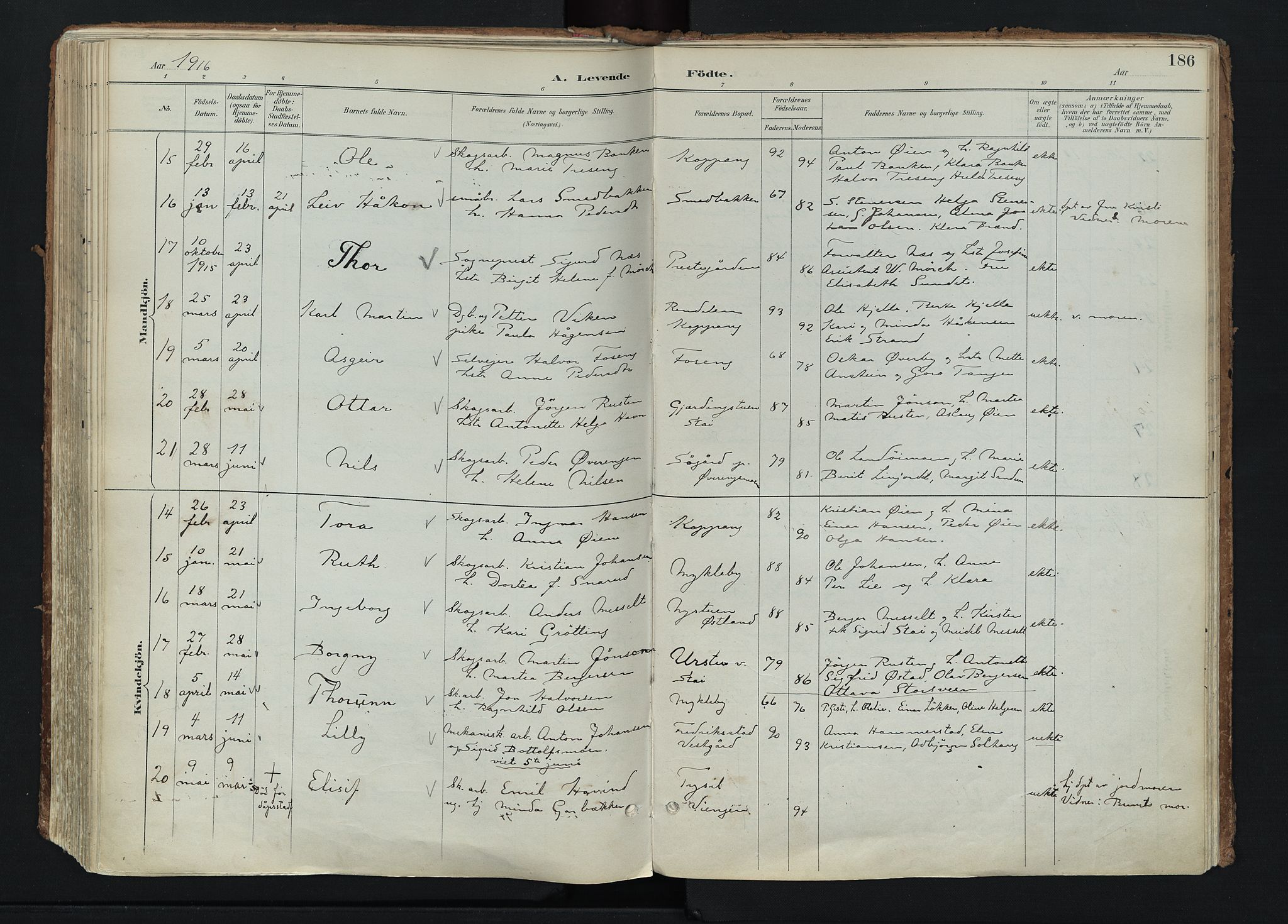 Stor-Elvdal prestekontor, AV/SAH-PREST-052/H/Ha/Haa/L0004: Parish register (official) no. 4, 1890-1922, p. 186