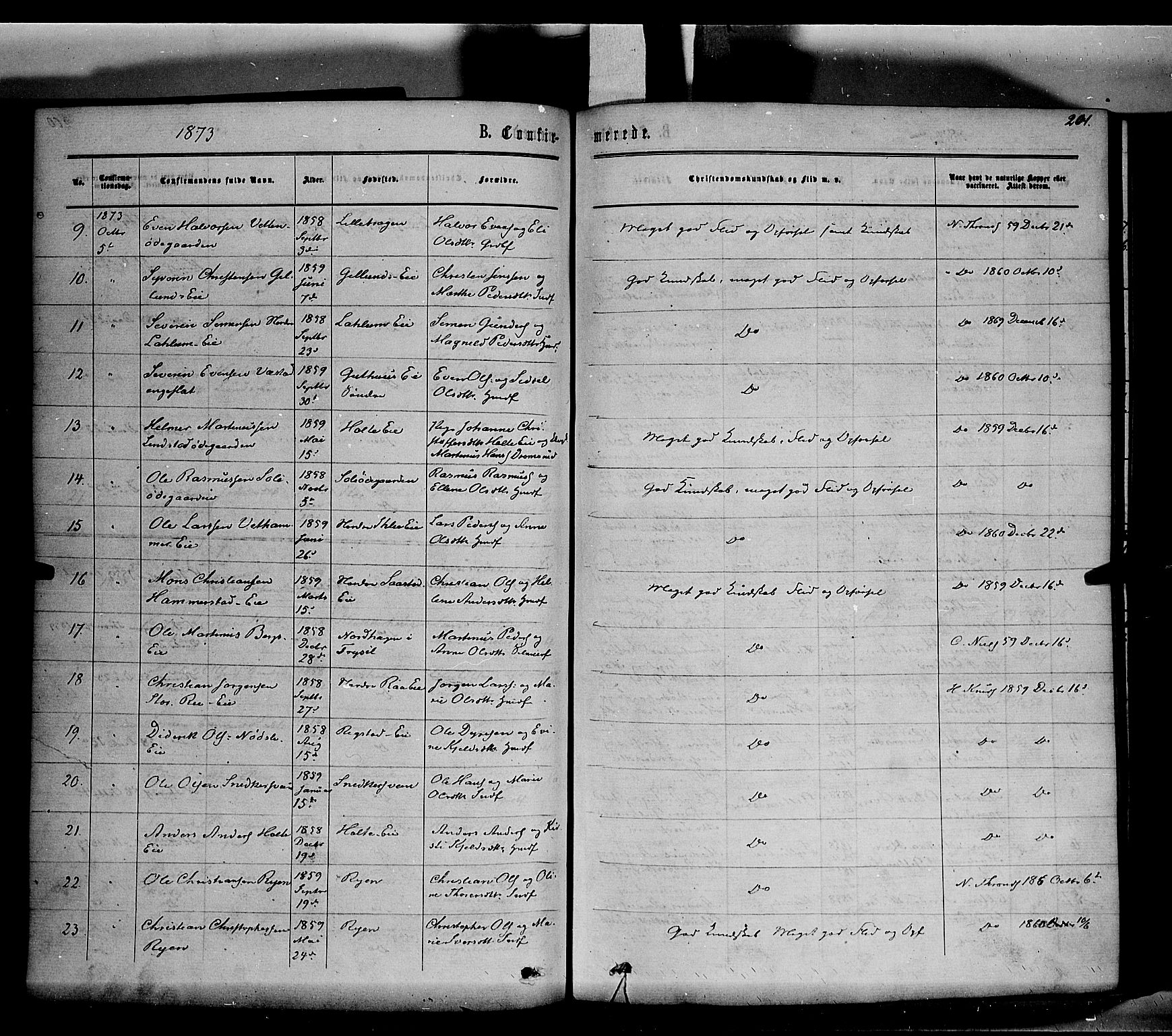 Stange prestekontor, SAH/PREST-002/K/L0013: Parish register (official) no. 13, 1862-1879, p. 201