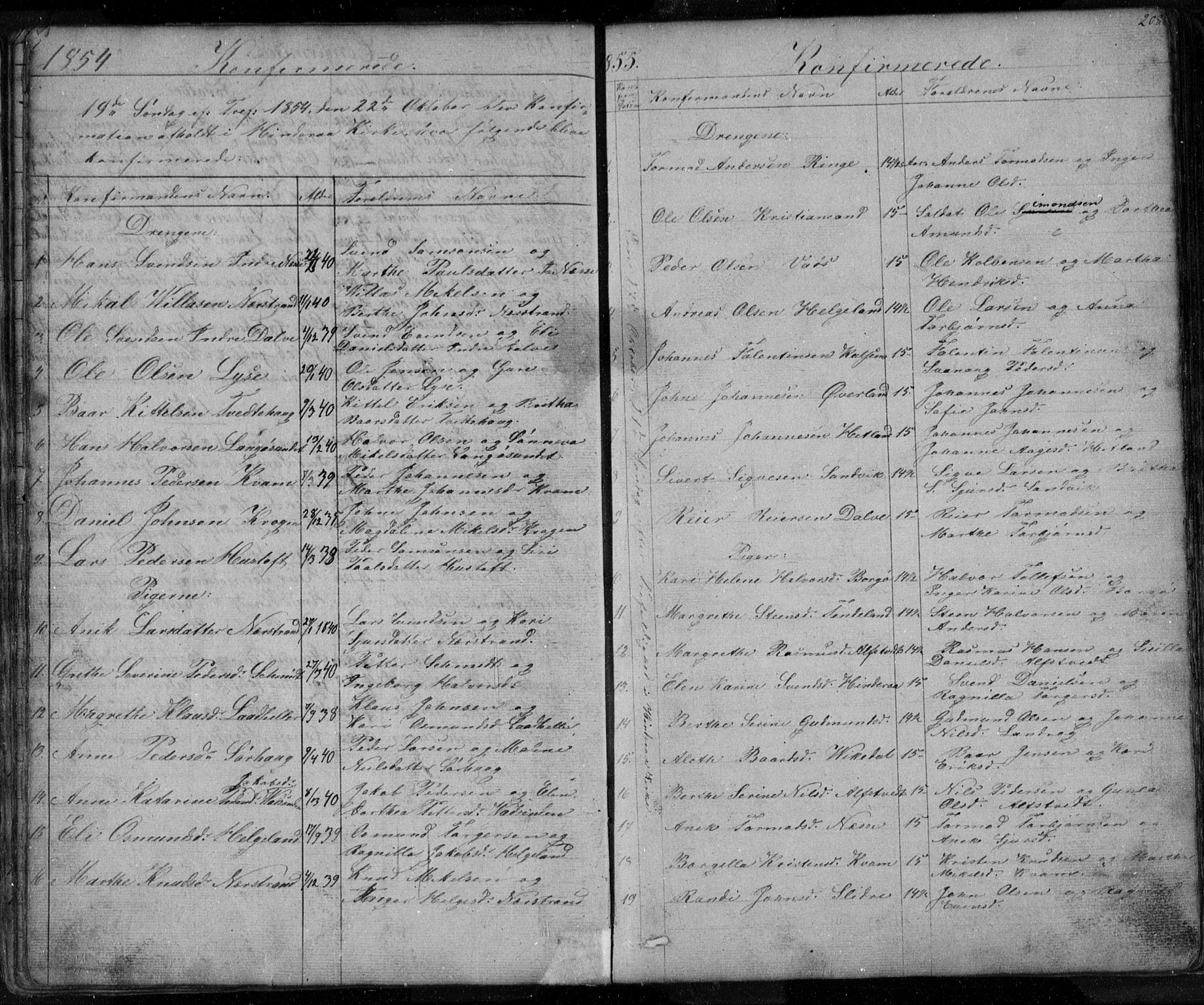 Nedstrand sokneprestkontor, SAST/A-101841/01/V: Parish register (copy) no. B 3, 1848-1933, p. 208