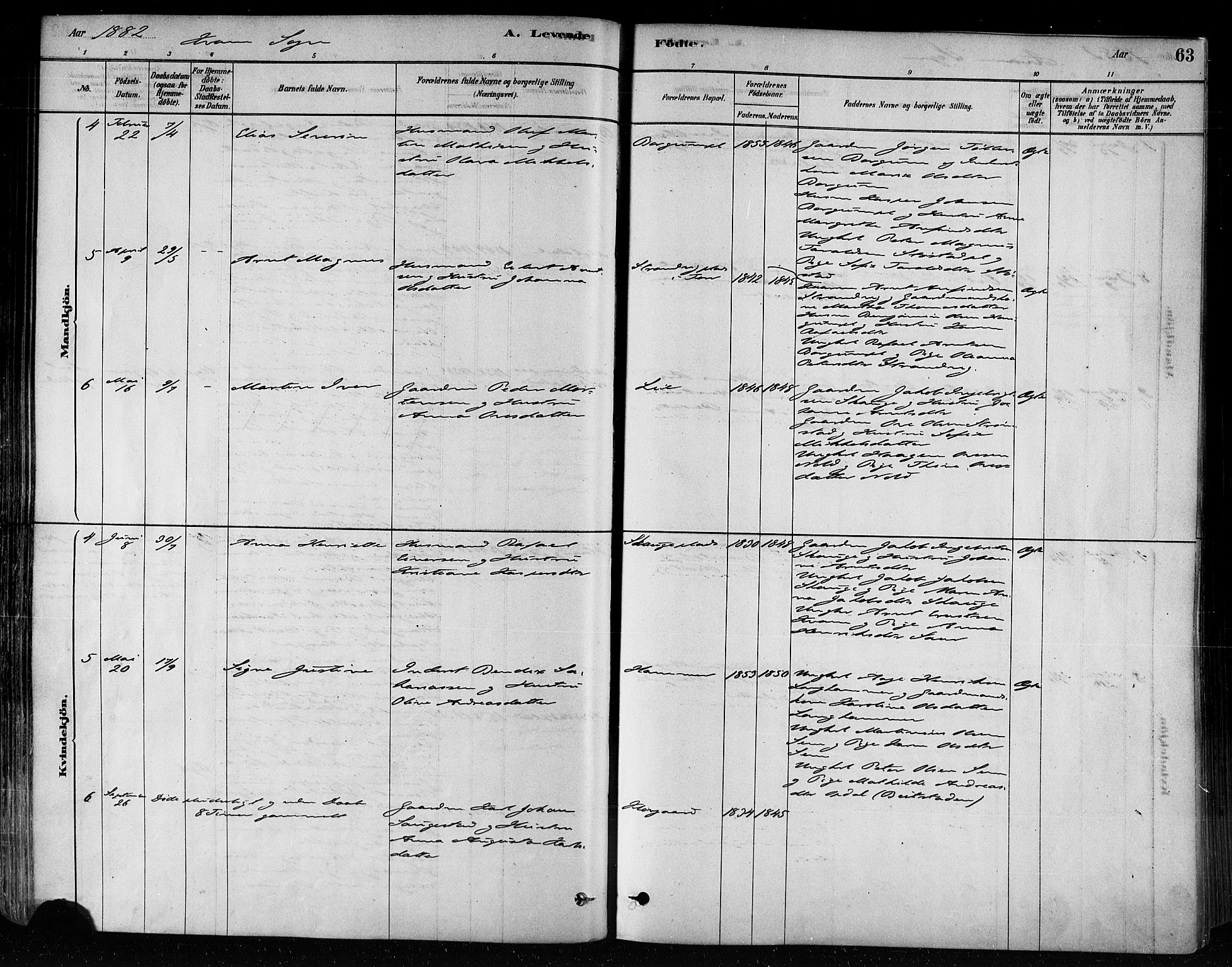 Ministerialprotokoller, klokkerbøker og fødselsregistre - Nord-Trøndelag, AV/SAT-A-1458/746/L0449: Parish register (official) no. 746A07 /2, 1878-1899, p. 63