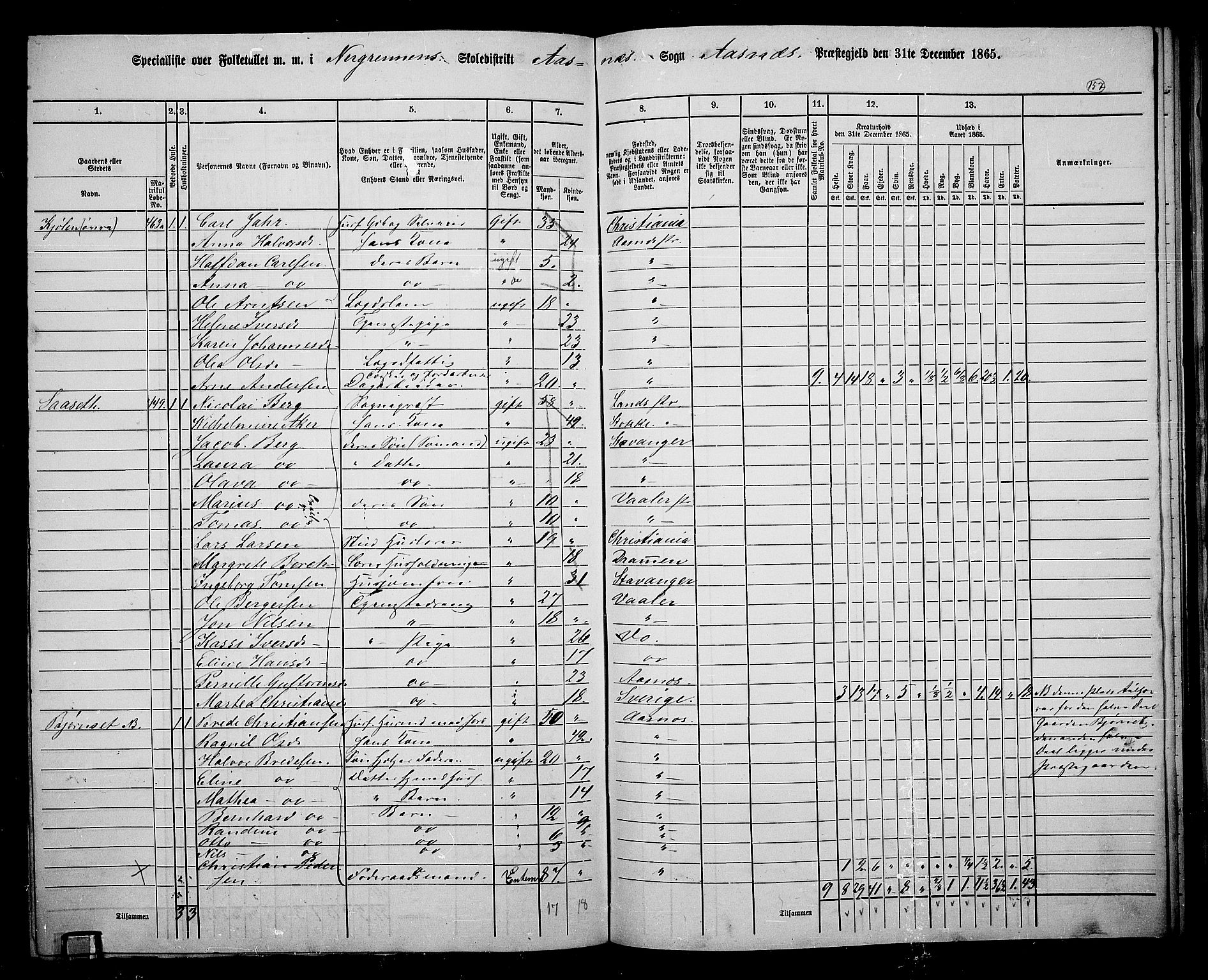 RA, 1865 census for Åsnes, 1865, p. 146